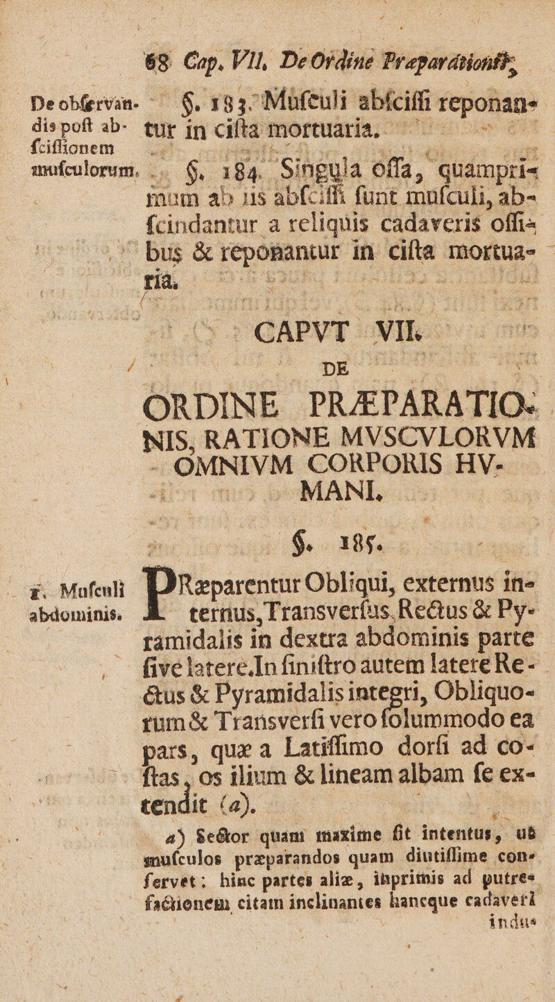 fciflfionem rium ab 15 abfciff funt mnfculi, ab- fcindantur a reliquis cadaveris offi« DE NIS, RATIONE MVSCVLORVM - OMNIVM CORDONS HV- | $. l1 95. abdominis. Li - terius, Transverfus.ReGus à Py- ramidalis in dextra abdominis parte five latere.In finiftro autem latere Re- étus &amp; Pyramidalis integri, Obliquo- rum &amp; Transverfi vero folummodo ea pars, que a. Latiffimo dorfi ad co- ftas, os ilium &amp; lineam albam fe ex- tendit (2). SE. a) $e&amp;or quani maxime fit intentus B ub snufculos przparandos quam diutiflime con» fervet; hinc partes aliz, ibpritis ad putres factionem citam inclinanies hancque dM y i indt