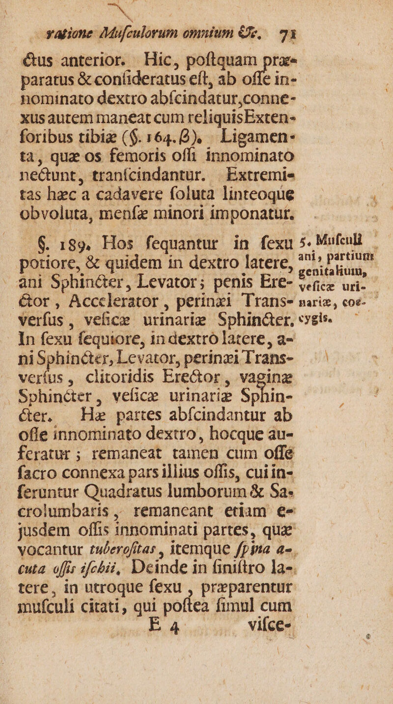 UN. | ratione dMufculorum omnium e, — 23 &amp;us anterior. Hic, poftquam pra paratus &amp; confideratus eít, ab scar in-- nominato dextro abfcindatur, conne- xusautem maneat cum reliquisExten- foribus tibi ($. 164.8). . Ligamen- ta, quz os femoris offi innominato necunt, tranícindantur. | Extremi« tas hzc a cadavere foluta linteoque i obvoluta, menfe minori imponatur, B $. 189. Hos fequantur in fexu 5. Mufenli— potiore, &amp; quidem in dextro latere, snjs piri . ani Sphin&amp;er, Levator; penis Ere- M oH | &amp;or, Accclerator , perinzi Trans marie, coe- verfus , vehic urinariz Sphin&amp;er, «yis. ln fexu fequiore, in dextro latere, a- niSphincter, Levator, perinzi Trans- vertus , clitoridis Erector , vaginze Sphincter, velice urinariz Sphin- Ger. Ha partes abfcindantur ab offe innominato dextro, hocque au- feratur ; remaneat tamen cum offe facro connexa pars illius offis, cui in- feruntur Quadratus lumborum &amp; Sa« crolumbaris ,, remancant etiam €« jusdem offis innominati partes, quae vocantur tulerofitar , itemque fpisa a- . cuta. ofr ifcbii, Deinde in finiftro la-. tere, in utroque fexu , praparentur mufculi citati, gu PUN fimul cum vifce-