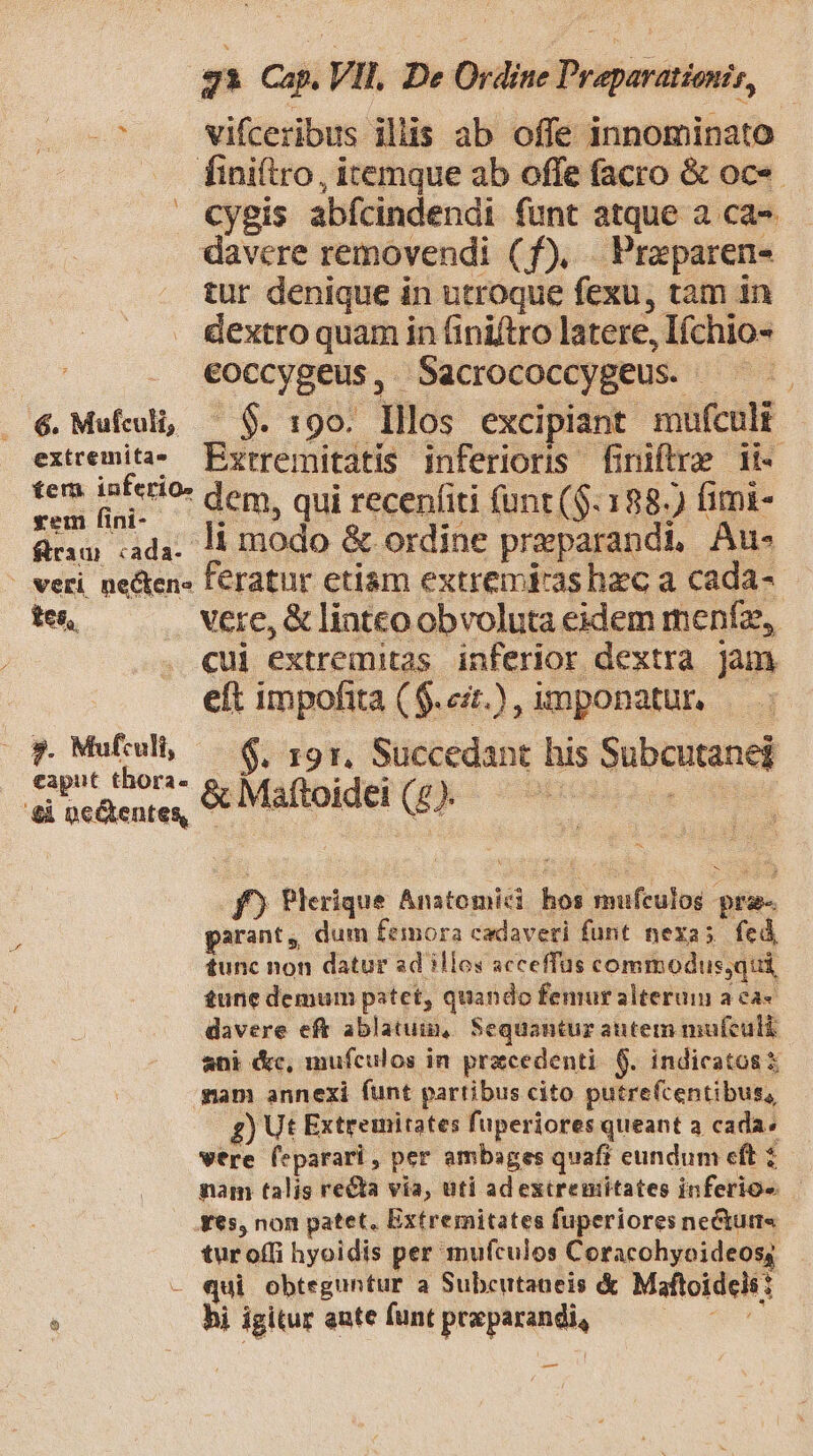 -^ . Vifceribus illis ab offe innominato . finiiro, itemque ab offe facro &amp; oc«- €ygis abícindendi funt atque a ca- davcre removendi (f), . Praparen- tur denique in utroque fexu, tam in dextro quam in finiftro latere, Ichio- es . €occygeus, Sacrococcygeus. — . 6. Mufculi, — $. 19o. Illos excipiant mufcult extremita^ Eyrremitatis inferioris finiftre 1i- tem iníerio- dem. qui recepfiti (unt ($. 188.) fimi- ürau das li modo &amp; ordine preparandi, Au- frau :ada- - me praparana S | veri, ne&amp;en- feratur etiam extremiras hec a cada- tes, . «ere, &amp; linteo obvoluta eidem menfe, cui extremitas inferior dextra jam eft impofita ( $.e2t.) , imponatur, m Men $. 191. Succedant his Subcutaned eaput thora- o. der fx | | odiis &amp;i oc&amp;tentes, &amp; Maftoidei (£ ^ ^ f) Plerique Anatomici hos mufculos pra parant, dum femora cadaveri funt nexa; fed, tunc non datur ad illos acceffus commodus,qui £une demum patet, quando femur alterum a ca« davere eft ablatum, Sequantuz autem mufeuli ani &amp;c, mufculos in pracedenti. $. indicatos yam annexi funt partibus cito putre(centibus, £g) Ut Extremitates fuperiores queant a cada: were feparari, per ambages quafi eundum cft ; nam talis recta via, uti ad exireuiitates inferio« 6s, non patet, Extremitates fuperiores nectums tur offi hyoidis per mufculos Coracohyoideos; - qui obteguntur a Subcutaneis &amp; Maftoidels: : hi igitur eute funt praparandi, A —