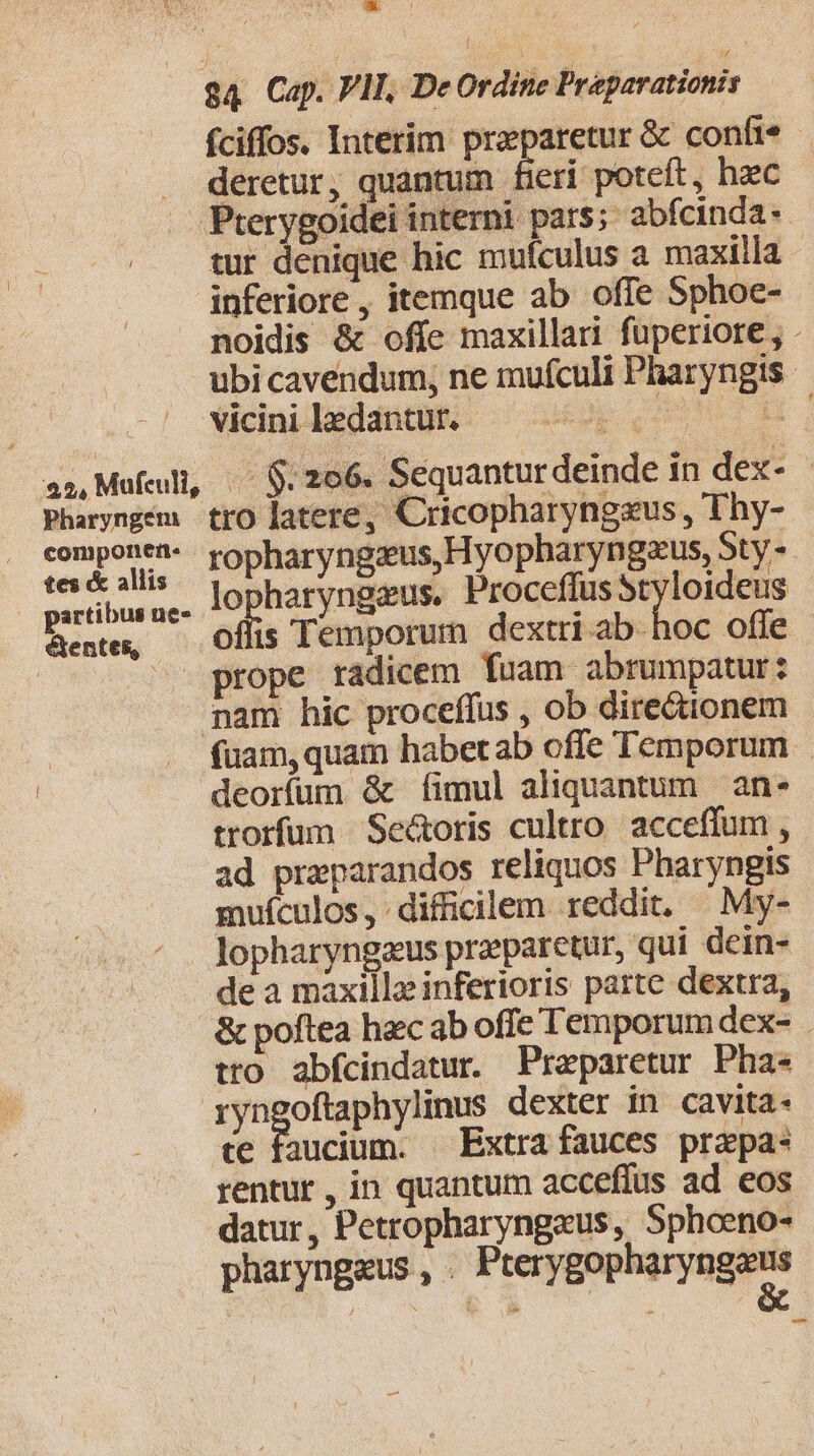 fciffos. Interim. praeparetur &amp; confi - . deretur, quantum fierí poteft, hzc . Pterygoidei interni pars; abfcinda« tur denique hic muículus a maxilla inferiore , itemque ab offe Sphoe- noidis &amp; offe maxillari fuperiore, - ubi cavendum, ne mufculi Pharyngis vicini ledantur. e. i an Mufeli, | $. 206. Sequantur deinde in dex- Pharyngem. tro latere, Cricopharyngsus , Thy- componen-. ropharyngzeus, Hyopbaryngzus, Sty -- s &amp; alli | ] Pide. ari Maie lopharyngeus. Proceffus Styloideus Mente, — Oflis Temporum dextri ab. hoc offe |. prope radicem fuam abrumpatur: pam hic proceffus , ob dire&amp;ionem fuam, quam habetab offe Temporum - deoríüum &amp; fimul aliquantum an* trorfum Sec&amp;toris cultro. acceffum , ad praparandos reliquos Pharyngis muículos, difficilem reddit. — My- lopharyngaus preparetur, qui dein- de a maxillae inferioris parte dextra, &amp; poftea hec ab offe Temporum dex- . tto abfcindatur. Praparetur Pha* E dexter in cavita- ce faucium. — Extra fauces przpa- rentur, in quantum acceflus ad eos datur, Petropharyngaus, Sphoeno- pharyngeus , . Frequens