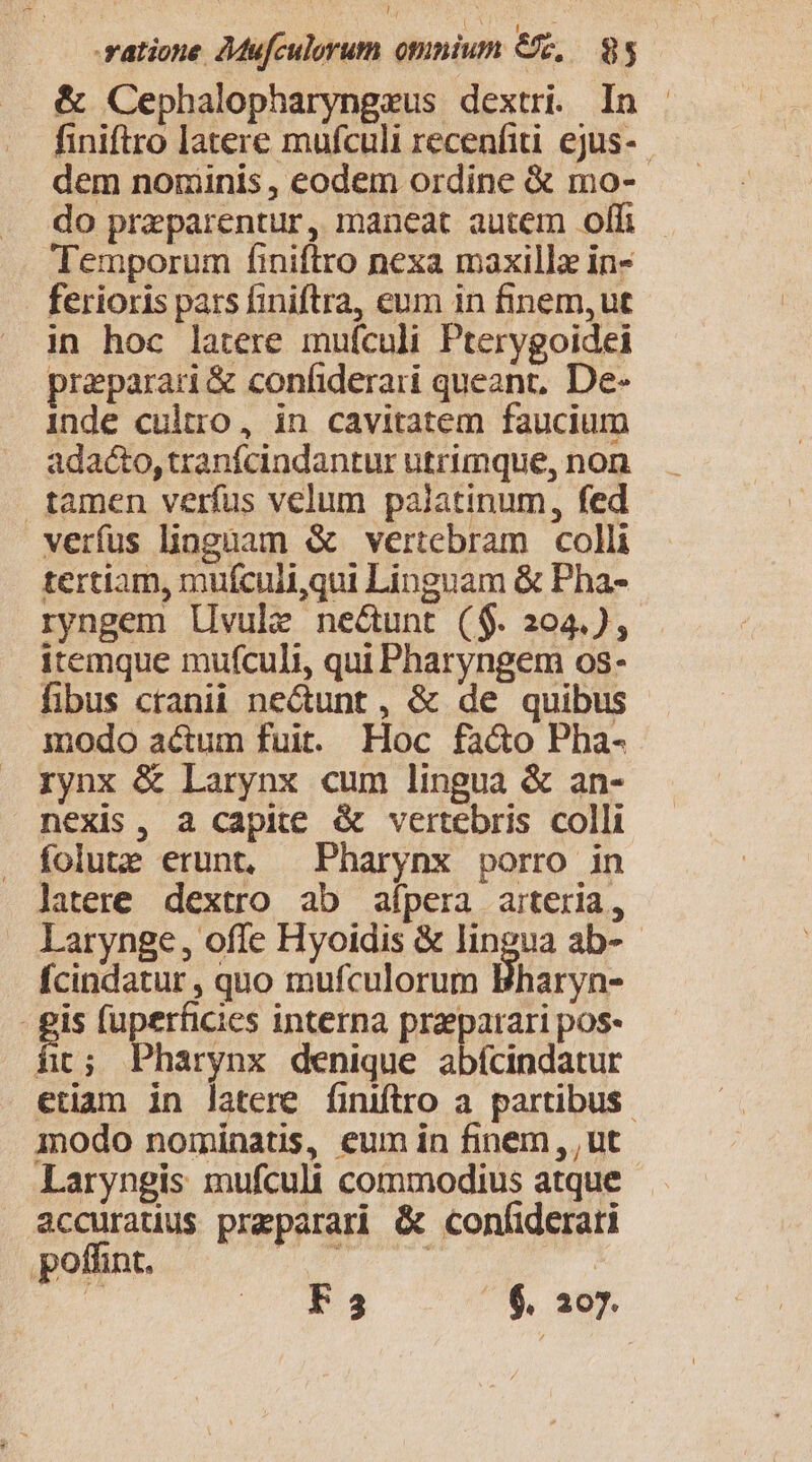 &amp; Cephalopharyngeus dextri. In finiftro latere mufculi recenfiti ejus- | dem noriinis, eodem ordine € mo-- do przparentur, maneat autem offi Temporum finiftro nexa maxillz in- ferioris pars finiftra, eum in finem,ut in hoc latere mufculi Pterygoidei praeparari &amp; confiderari queant, De- inde cultro, in cavitatem faucium adacto, tranfcindantur utrimque, non tamen verfus velum palatinum, fed verfus linguam &amp; vertebram colli tertiam, mufculi,qui Linguam &amp; Pha- ryngem livule ne&amp;unt ($. 204.), itemque mufculi, qui Pharyngem os- fibus cranii ne&amp;unt, &amp; de quibus modo actum fuit. Hoc fa&amp;o Pba- rynx &amp; Larynx cum lingua &amp; an- nexis, a capite &amp; vertebris colli folute erunt, —Pharynx porro in latere dextro ab aípera arteria, Larynge, offe Hyoidis &amp; lingua ab-- fcindatur , quo mufculorum Bharyn- : fis fuperficies interna praeparari pos- ii; Pharynx denique abícindatur etiam in latere finiftro a partibus. modo nominatis, eum in finem, , ut Laryngis mufculi commodius atque accuratius preparari &amp; confiderari ions ues : |