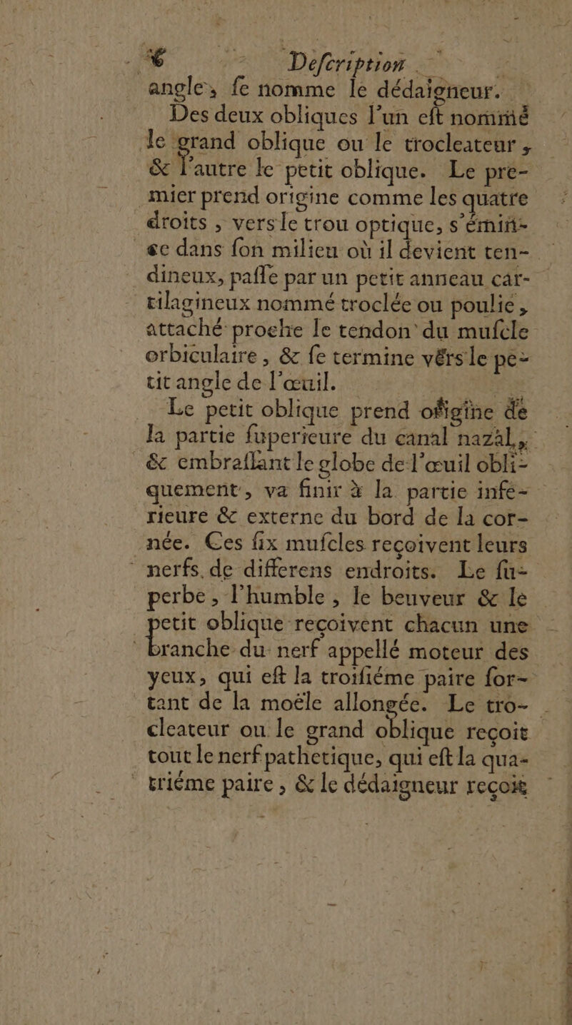 pars. à angle, fe nomme le dédaioneur. Des deux obliques l’un ft nome le grand oblique ou le trocleateur , &amp; l’antre le petit oblique. Le pre- mier prend origine comme les quatre droits , vers le trou optique, s’émi- dineux, pafle par un petit anneau câr- tilagineux nommé troclée ou poulie, attaché proche le tendon’ du mufele orbiculaire , &amp; fe termine vérsle pe tit angle de l'œuil. Le petit oblique prend ofigîne de _&amp; embraflant le globe de l'œuil obli- quement, va finir à la partie infé- rieure &amp; externe du bord de la cor- née. Ces fix mufcles recoivent leurs nerfs. de differens endroits. Le fu- perbe , l’humble , le beuveur &amp; le etit oblique recoivent chacun une on beta nerf appellé moteur des yeux, qui eft la troifiéme paire for- cleateur ou le grand oblique reçoit tout le nerf pathetique, qui eft la qua= ” triéme paire , &amp; le dédaigneur reçoit 2 “ TP TE