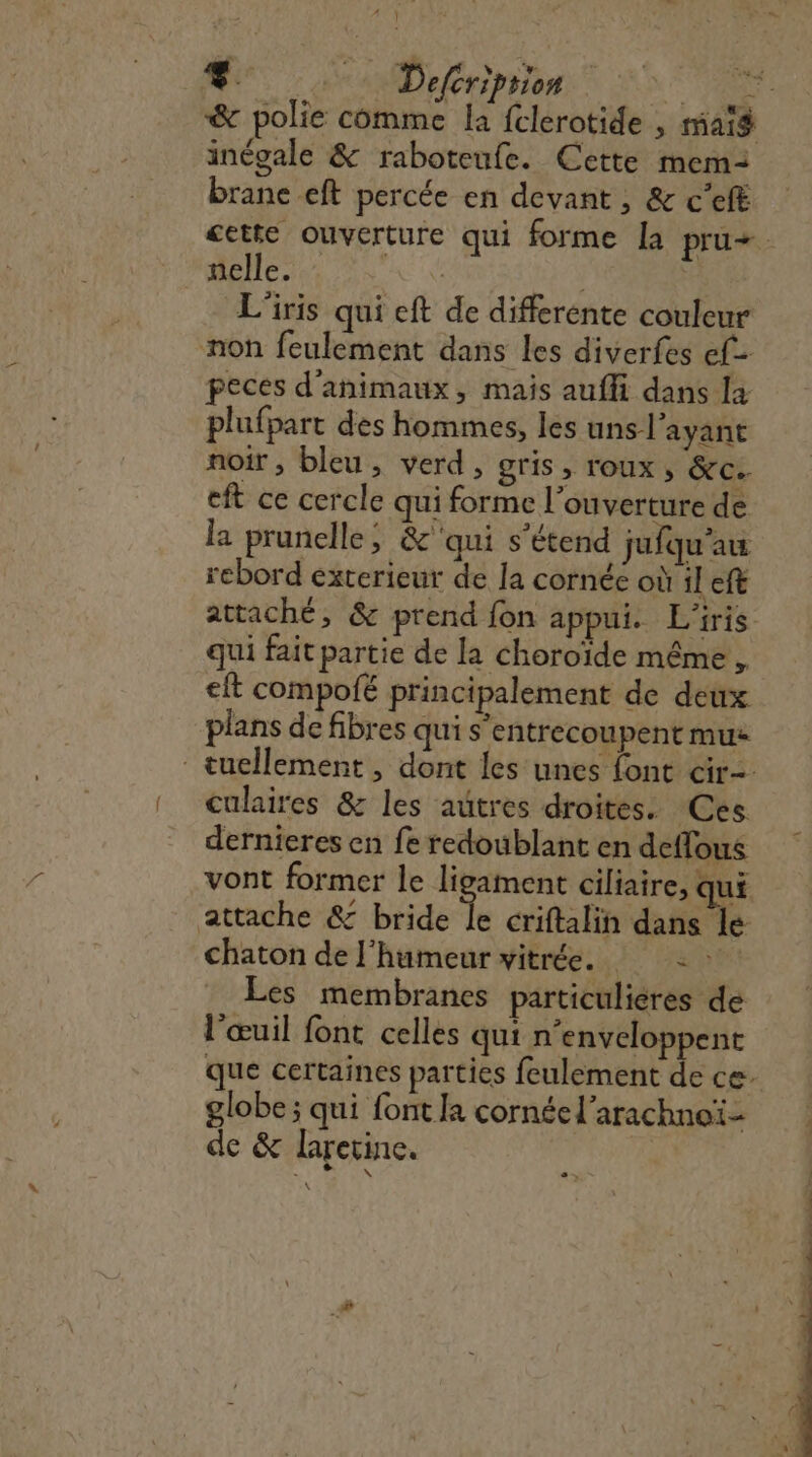 A j f So Defcriprion x © T0 polie comme la fclerotide , mais inégale &amp; raboteufe. Cette mem2 brane eft percée en devant , &amp; c’efë cette ouverture qui forme la pru+. nelle. | | L'iris qui eft de differente couleur non feulement dans les diverfes ef peces d'animaux, mais auffi dans la plufpart des hommes, les uns l'ayant noir , bleu, verd, gris &gt; lOUX ; &amp;c. eft ce cercle qui forme l'ouverture de la prunelle ; &amp; ‘qui s'étend jufqu'au rebord exterieur de la cornée où il eft attaché, &amp; prend fon appui. L'iris qui fait partie de la choroïde même , eft compolé principalement de deux plans de fibres qui s’entrecoupent mu: tuellement , dont les unes font cr culaires &amp; les aütres droites. Ces. dernieres en fe redoublant en deffous vont former le ligament ciliaire, qui attache &amp; bride Sp criftalih dans le chaton de l'humeur vitrée. : Les membranes particuliéres de l'œuil font celles qui n'enveloppent que certaines parties feulement de ce. globe ; qui font la cornée l’arachnoï- de &amp; larerine.