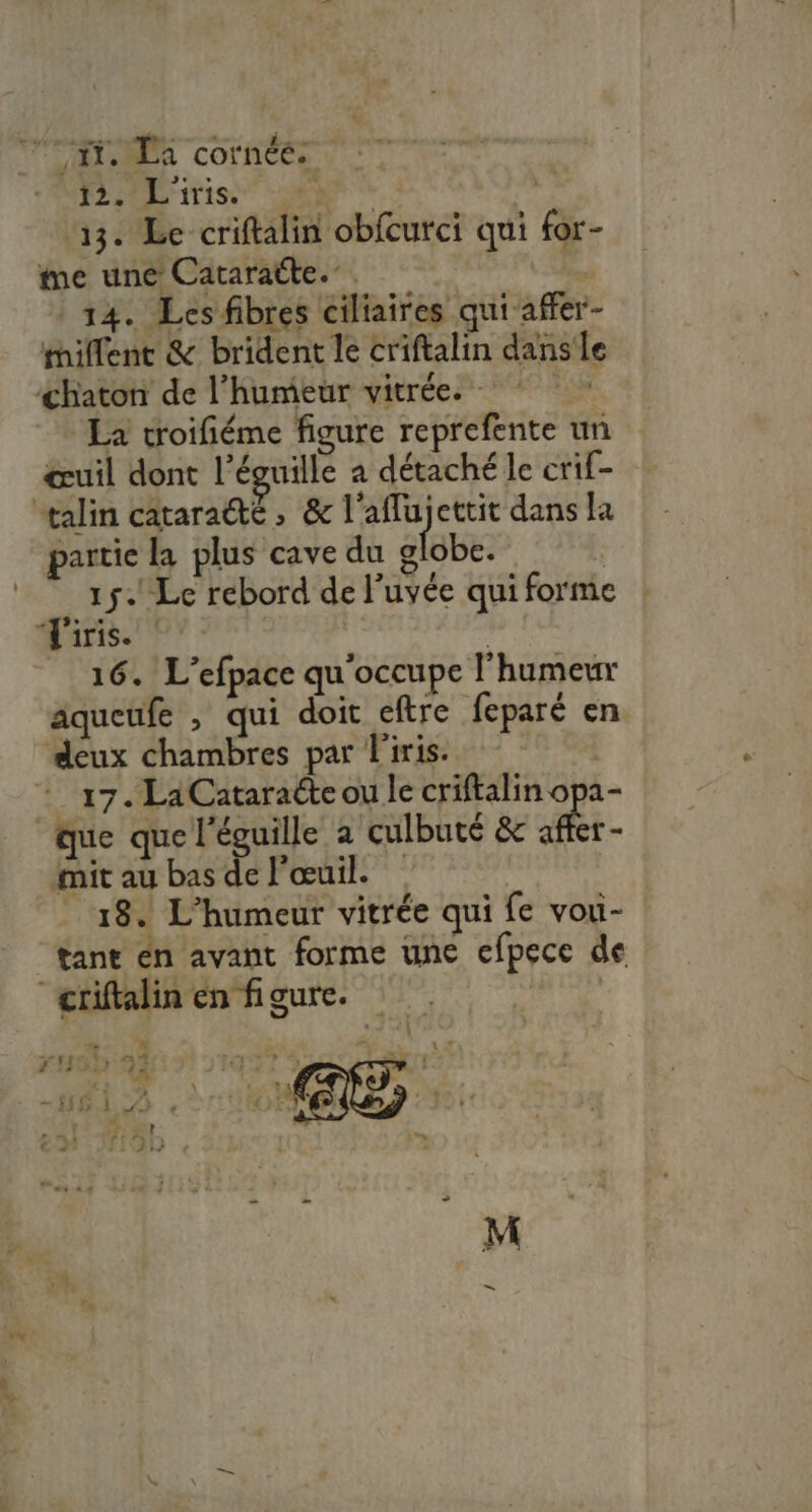 TOMBER cornée. NES ER ITISS RE * ré 13. Le criftalin obfcurci qui for- me une Cataratte.”. à 14. Les fibres ciliaires qui affer- tillent &amp; brident le criftalin dans le chaton de l'humeur vitrée. La troifiéme figure reprefente un œuil dont l’éguille a détaché le crif- talin cataracte, &amp; l'affujettit dans la partie la plus cave du SIBHES 15. Le rebord de l’uvée qui forme Tiris. | 16. L’efpace qu'occupe l'humeur aqueufe , qui doit cftre feparé en deux chambres par l'iris. 17. LaCataracte ou le criftalin opa- que que l'éguille a culbuté &amp; et - mit au bas de l'œuil. 18. L’humeur vitrée qui fe voui- tant én avant forme une efpece de “criffalin en figure. 0