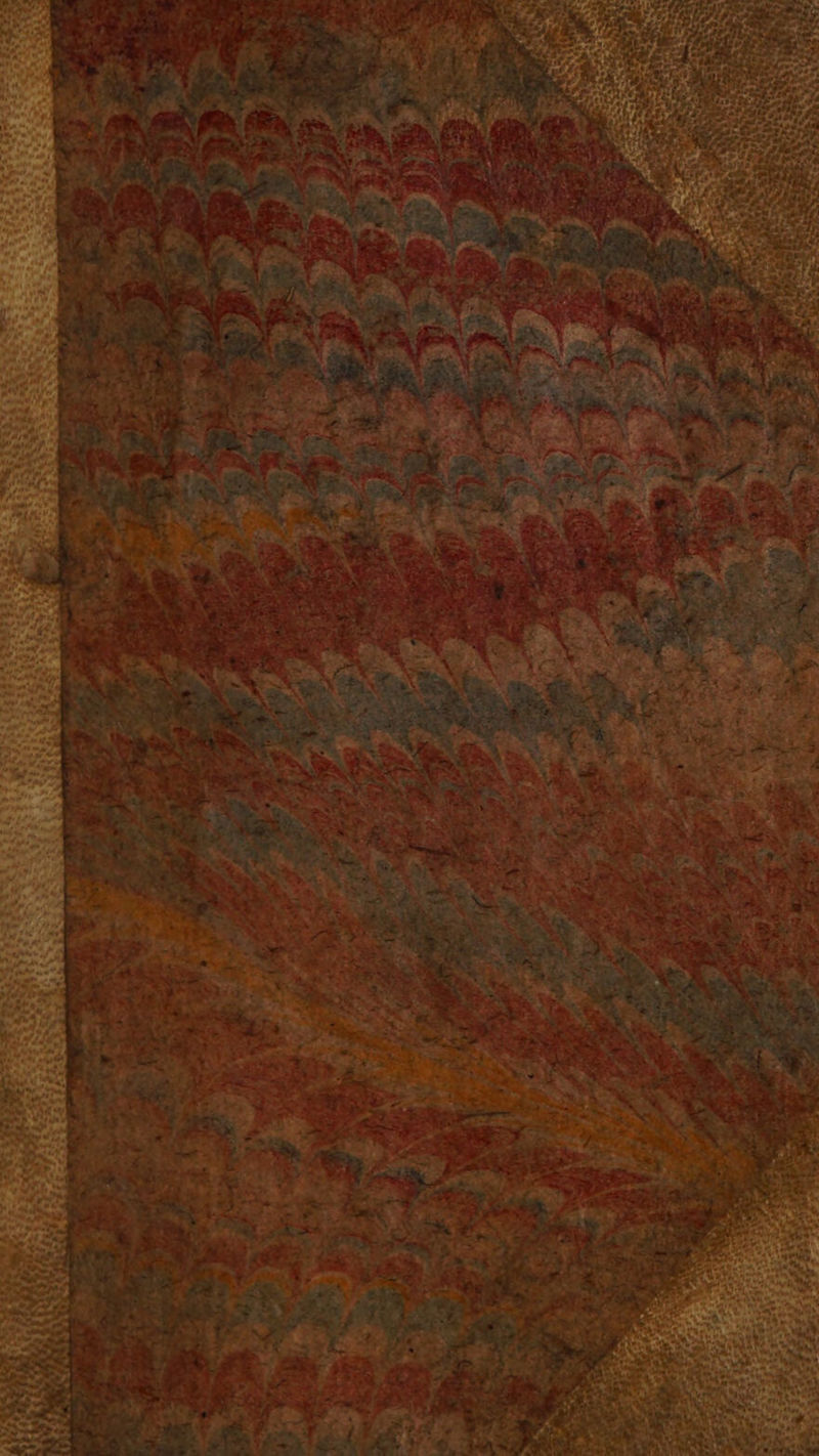 No text description is available for this image