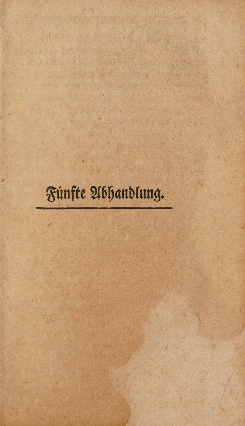 Fünfte Abhandlung.