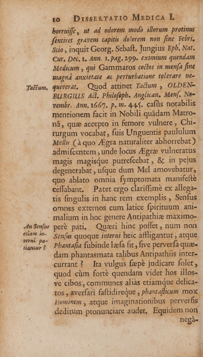 v: — DissrkTATIO MipicA É.— borruiffe , ut ad odorem inodo illerum. protinus. feutiret gravem capitis dolorem. nen fine. Feiri, | $&amp;i0 , inquit Georg. Sebaft. Jungius Eph. Nat. Cur, Dec. x, Ann. 1. pag. 299. exünium quendam, Medicum , qui Gammaros codos in menfa fine wiagná anxietaie ac perturbatione tolerare ne- Ju&amp;um, quiverat, Quod attinet Taclum , OLDEN- BURGIUS Ad. Philofoph. Anglican. Men[. Neo. vembr. Ann, 667. p.11. 445. cafüs notabilis - mentionem facit in Nobili quádam Matro-- nÀ, quae accepto in femore vulnere , Chi- rurgum vocabat, fuis Unguentis paululum. Mells (à quo /Egra naturaliter abhorrebat ) admifcentem , unde locus ZEgrae vulueratus magis magisque putrefcebat , &amp; in pejus .. degenerabat , ufque dum Mel amovebatur,. . quo ablato omnia fymptomata manifefté ceffabant, — Patet ergo clariffime ex allega- tis fingulis in hanc rem. exemplis , Senfus. omnes externos cum latice fpirituum ani- malium in hoc genere Antipathize máximo-. «nef pere pati, Qusri hinc poffet , num non oe hc Senfus quoque :nterni heic affligantur , atque dantur ? Phautafia fubinde leefa fit; five perverfa quae- | - dam phantasmata talibus Antipathiis inter- ^ currant ? Ltà vulgus fzepé judicare folet, quod cüm forté quendam videt hos illos- . ve cibos, communes aliàs etiamque delica- tos , averfari faftidireque , phavtafficum mox. Hominem , atque imaginationibus perverfis. deditum pronunciare audet, Equidem nomi : .. neégà. Pd