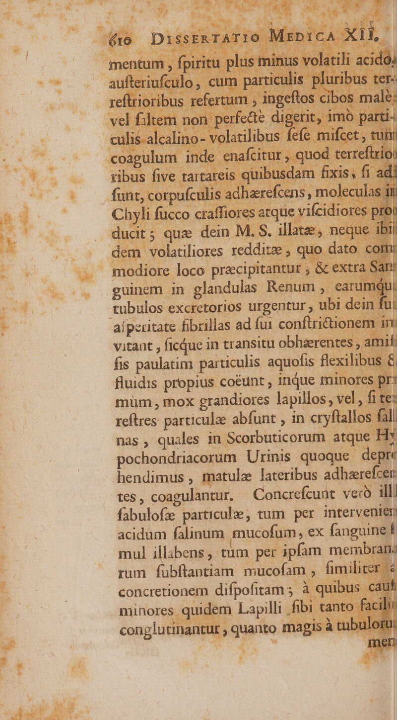 mentum , fpiritu plus minus volatili acido) aufteriufculo, cum particulis pluribus ter: reflrioribus refertum ; ingeftos cibos male: vel filtem non perfe&amp;? digerit, imó parti- culis-alcalino- volatilibus fefe mifcet , tui coagulum inde enafcitur , quod terreftrio: tibus five tartareis quibusdam fixis; fi adi funt, corpufculis adhaerefcens, moleculas in Chyli fucco craffiores atque vifcidiores proi ducit; quz dein M. S. illatee; neque ibi dem volatiliores redditze ; quo dato cotn: modiore loco precipitantur ; &amp; extra San guinem in glandulas Renum , earumqui tubulos excretorios urgentur , ubi dein fui aíperitate fibrillas ad fui confirictionem in vitant , ficque in transitu obharentes , amit: fis paulatim particulis aquofis flexilibus &amp; fluidis propius coéunt , inque minores pr: müm , mox grandiores lapillos; vel , fi te: reftres particulae abfunt , in cryftallos fal. nas , quales in Scorbuticorum atque Hy pochondriacorum Urinis quoque depre hendimus , matule lateribus adhzrefcer tes, coagulantur. Concrefcunt veró illi fabulofe particulae, tum per intervenien acidum falinum mucofum, ex fanguine fl mul illibens; tum per ipfam membran: rum fubftantiam. mucofam , fimiliter à concretionem difpofitam ; à quibus cauf minores quidem Lapilli fibi tanto facili conglutinantur quanto magis à tubulorui men