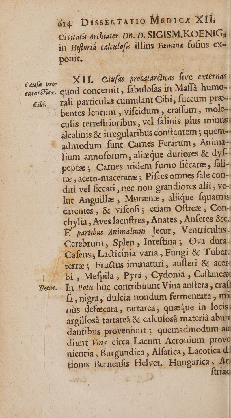 Civitatis Arcbiater. Dn. D. SIGISM.KOENIG; in Hflori4. caleulofe allius. Fermnine fufius ex« ponit. : | Caufe pró- XIL Cauíau procatavilicas five. externas : | euiarHiee. quod concernit , fabulofas in Maífà humo-: / gi. tali particulas cumulant Cibi, fuccum prae: - bentes lentum , vifcidum , craffum , mole-- culis terreftrioribus , vel falinis plus minuss alcalinis &amp; irregularibus conftantem ; quem ^ admodum funt Carnes Ferarum , Anima- lium annoforum, alizeque duriores &amp; dyf-- peptz ; Carnes itidem fumo ficcatze , fali- tz ; aceto-maceratz ; Pifces omnes fale con-. diti vel ficcati , nec non grandiores alii ve- lut Anguille , Murznze , aliique Íquamis €arentes, &amp; vifcofi; etiam Oftrez ; Con- chylia, Aves lacuftres, Anates Anferes 8c. E! partibus. Animalium. jecur, Venticulus. | Cerebrum , Splen , Inteftina ;, Ova dura; . Cafeus; Lacticinia varia , Fungi &amp; Tubet: | terze; Fru&amp;us immaturi , aufleri &amp;c acer: Nor Mefpila ; Pyra ; C€ydonia ; Caftaneae Pais. ln Pet huc contribuunt Vina auftera , crafi | fa , nigra, dulcia nondum fermentata ; mi nüs defocata , tartarea quaeque in locis; argillosà tartarcà &amp; calculosà materià abun dantibus proveniunt 5 quemadmodum ati diunt ma circa Lacum Acronium prove nientia , Burgundica , Alfatica ; Lacotica d? tionis Bernenfis Helvet, Hungarica, At rab | n firiao j