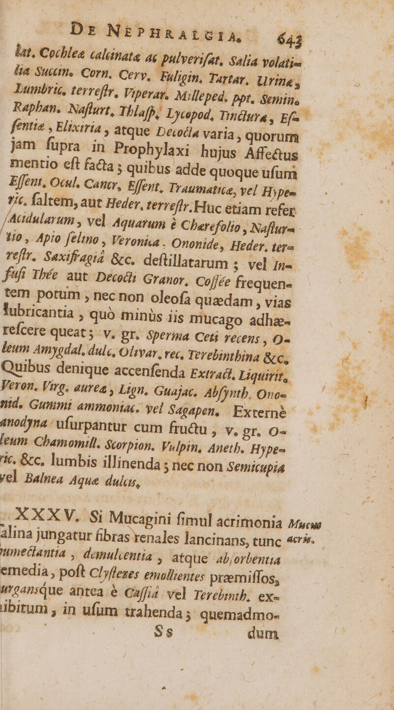 lut, Cochlea calcinata ac Üverifat, Salia volaiie. da Suum. Corn, Cery, Wligin, Tartar, Urine, Lumbric, terreffr, Vipevay, Milleped. ppt, Senn, Raphan. Naflurt, Thlafb, Lycopod, Tinduya, Efs fentia , Elixiria , atque Decodla varia , quorum jam fupra in Prophylaxi hujus Affetus — mentio eft faQ ; quibus adde quoque ufum Effent, Ocul. Can, Effet, Traumatica, vel Hypte 7c. faltem, aut Heder, terreflr Huc etiam refer Ádiilaróm » Vel Aquarum à Cbarefolio , Naflura -— 40 , Apto feltno , Veronisa - Ononide, Heder, tera refi, Saxifragia &amp;c. deftillatarum ; vel m-. fufi Thée aut Decodi Granor, Coe frequen- tem potum , nec non oleofa quaedam , vias lubricantia , quó minus iis mucago adhze- refcere queat ; V» BI. Sperina Ceti recens , 0- leum Amygdal, dulc, Oltvar, rec. Terebintbina Bin Quibus denique accenfenda Extract, Liquirit, Veron. Virg, aurea , Lign, Guajac. Abfyntb, Ono« nid. Gummi ammoniac. vel Sagapen, Externe anodyna ufurpantur cum fru&amp;u , v, gro. .- feum. Cbamomill. Scorpion, Vulpin, Aneth, Hype- ic. &amp;c. lumbis illinenda ; nec non Semicupia vel Balnea Aque dulus, ut ; XXXV, Si Mucagini fimul acrimonia Muciut alina jungatur fibras renales lancinans, tunc 4e wneclattia , domulcentia , atque '4bjorbentia emedia, poft CIyflezes emollientes preemiffos, ineansQue antea. &amp; Coffi4 vel Terebintb, ex« übirum , in ufam trahenda ; quemadmo- | Ss dum