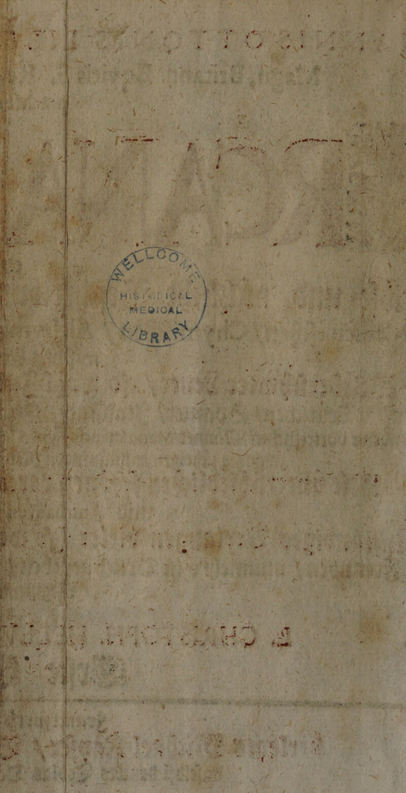 he eh Kia er Bay * FE 0 are Bl „N . 9907 „ ; 1 } € 1 1 * 9 n — enen e e a NE 2 8 * en | ] tur fi 4 5 1 * 19 0 As
