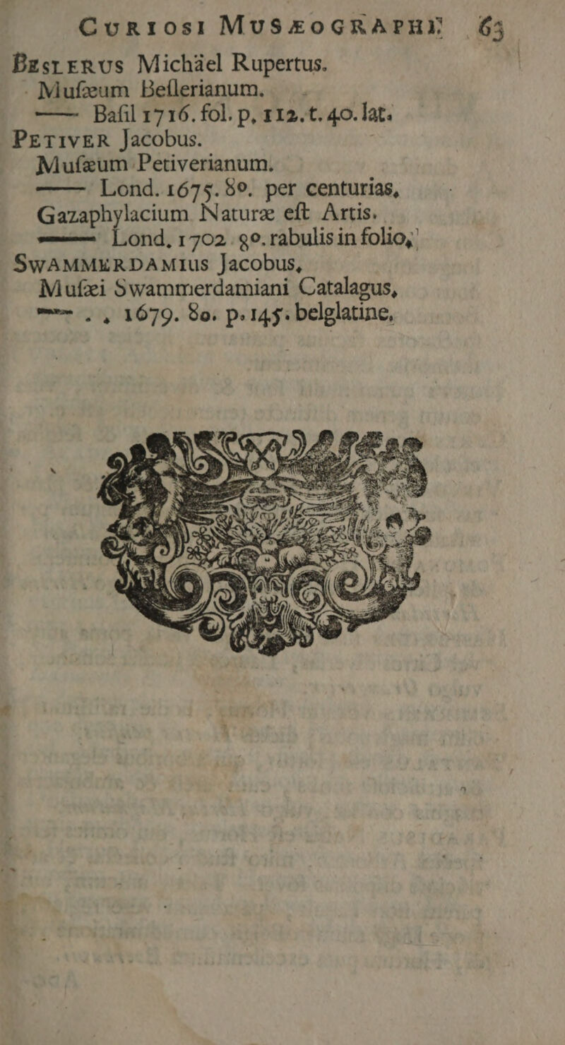 Conr0s]i MUSEOGRAPHI BzsrrRvus Michiel Rupertus. . Mufzeum Beílerianum. — . —— Bafil 1716. fol. p, 112.t. 4o. lat. PET1vER Jacobus. Mufaeum Petiverianum. Lond. 1675.59. per centurias, Gazaphylacium Nature eft Artis. | —— Lond, :r702. 89. rabulis in folio, SwWAMMERDAMIUus Jacobus, Mufzi Swammerdamiani Catalagus, -—— , , 1679. 8o. p. 145. belglatine, hj