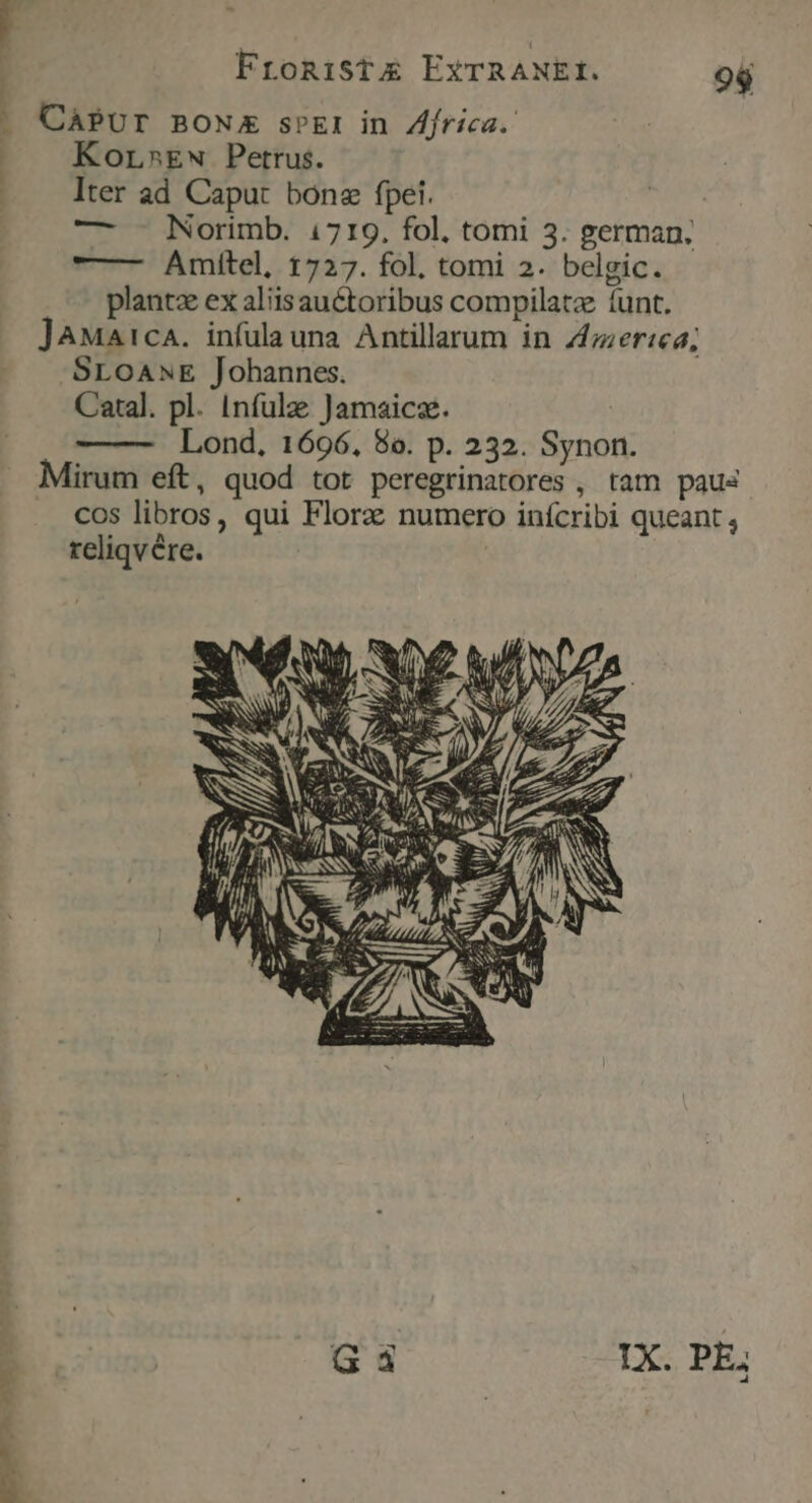 Fronist&amp; ExTRANEI. 96 | CAPUr BONE sPEI in Zfrica. KorsEw Petrus. Iter ad Caput bone fpei. | — - Norimb. 1719. fol, tomi 3. german. -—— Amitel, 1727. fol. tomi 2. belgic. plantze ex alisauctoribus compilatz funt. ]AMatca. infulauna Antillarum in Z;er:ea; SLoANE Johannes. Catal. pl. Infulze Jamaica. Lond, 1696, 8o. p. 232. Synon. Mirum eft, quod tot peregrinatores , tam paus COS libros, qui Florz numero infcribi queant , reliqvére. bem. SAN *u y E | G3 IX. PE,
