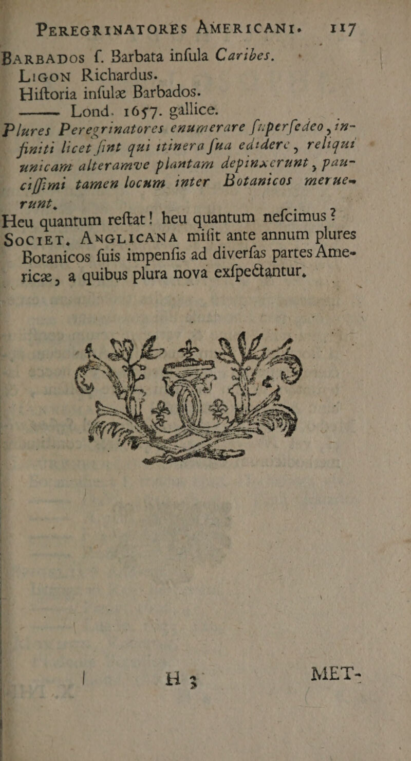 BanBADos f. Barbata infula Carises. — « - Li:cow Richardus. Hiftoria infula: Barbados. Lond. r6$7. gallice. Plures Peregrinatores enumerare [uper[edeo ,1n- v fimiti licet [imt qui stinera [na edidere reliqui -« unicam alteramuve plantam depiuxerunt , pau ciffimi tamen locum inter. Botanicos merue- wo rutt, | Heu quantum reftat! heu quantum nefcimus ? SocrkT. ANGLICANA mifit ante annum plures - Botanicos fuis impenfis ad diverfas partes Ame- . ricx, a quibus plura nova exípectantur, | |
