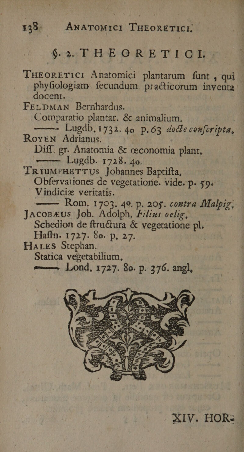 :38 AwNATOMICI THEORETICI, $2.THEORETICL-: THEORETICI Anatomici plantarum funt , qui docent. FrrDMaw Bernhardus. | Comparatio plantar. &amp; animalium. ——-- Lugdb.1732.4o p.63 docte confcripta, Rov&amp;N Adrianus. Diff. gr. Anatomia &amp; ceconomia plant, Lugdb. 1728. 4o. InriuMPHETTUS Jobannes Baptifta, Obfervauones de vegetatione. vide. p. $9. Vindiciz veritatis. Rom. 1703. 49. p. 205. coztra Malpir, jJacoszus Joh. Adolph. £/zs oelig, Schedion de ftru&amp;tura &amp; vegetatione pl. Haffn. 1727. 8o. p. 27. Statica vegetabilium, — Lond, 1727. 8o. p. 376. angl,