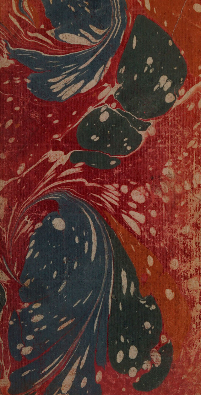 No text description is available for this image