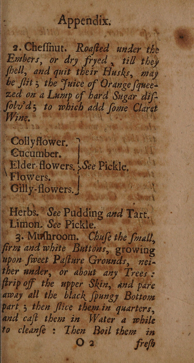 hod OF ? igs % owl te, ere a ; ae Se ea a Pe 5) RS ph 8s aa ia aa 4s athe nder the vil! Ye) ok me : u Enters, or ie ae “be fie and « quit their 1 Rs NR. ; ty, ave a“ , shee “Cally iG ree sa i @ es are Min  OMe srs Puc x Ue aah gs ee ASH at “s 177. f ' , # ery a ee ae Ere ie a eo on. | © Rae wee i < imon. See Pickle A ‘ . on Ly y F 7 INE , wakeny E : fae! i) ee oe ee ee i a a ern) ‘iy Abo, Be Mae Pe. TN : oe: he &amp; LE 4 TG ae oe. carer, tetas eo ARIA * ep (Diag 8 Fi i bi yr hes uy if Ji ; ri ey >, 5 ie 7 3 f Pe Ps Lui 'f  ty ag ite MES * aaa Me ae ith ¥ : He g i a any Trees 4 7 > ¥ a i, q Mot £5 3 pare “ae Botton