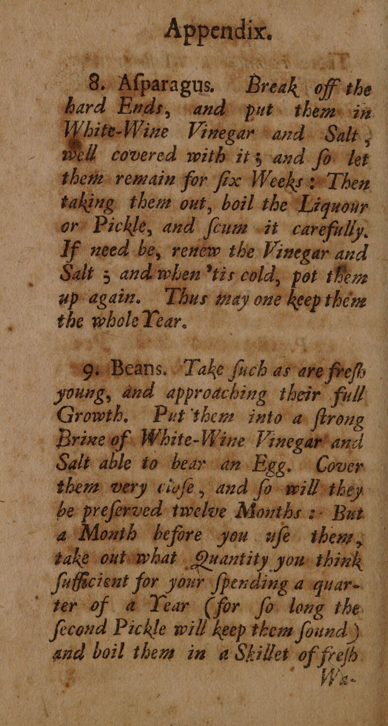 ‘ remain fe “ive W he sini ea re eS. : oun, hain or ote ‘ Bri pitts) Vine ” ancl pan Pickle will keep ¢ Maida vl asse ana boil thea im @ Sites op aug