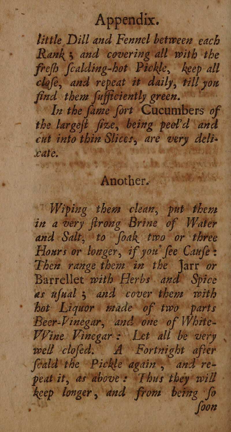 fre ‘fealding-bot ickle, “keep all ty “are oe “ed Pee ine m RH Lg ‘2 Ese, WO “y soll salad pw eae A EN Wiping ie soba SaiePen, in avery flrong “Brink of Water and «Salt, to sfiel tipo or pone Hours or longer, ‘af yon fee Canfers Thee range them in the jart or Barrellet: with Herbs. and ?0e hot. VV ine. Vinegar > Bet ali be very well | clofed.” A Fortni Si after . feald* the’ Pickle again’, and re- peabit, as above’? “Phus they* il loner, ‘and fron beth ‘ , [oon Fa ae