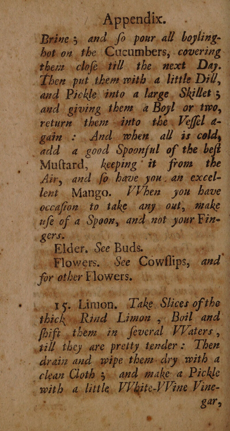 é sri ro? Se a OF lent Mango. | oa oo Son em wi | SOR ye SAA Gy ae OM : casa slder. See Buds a he pas ie ine bag eis and ,