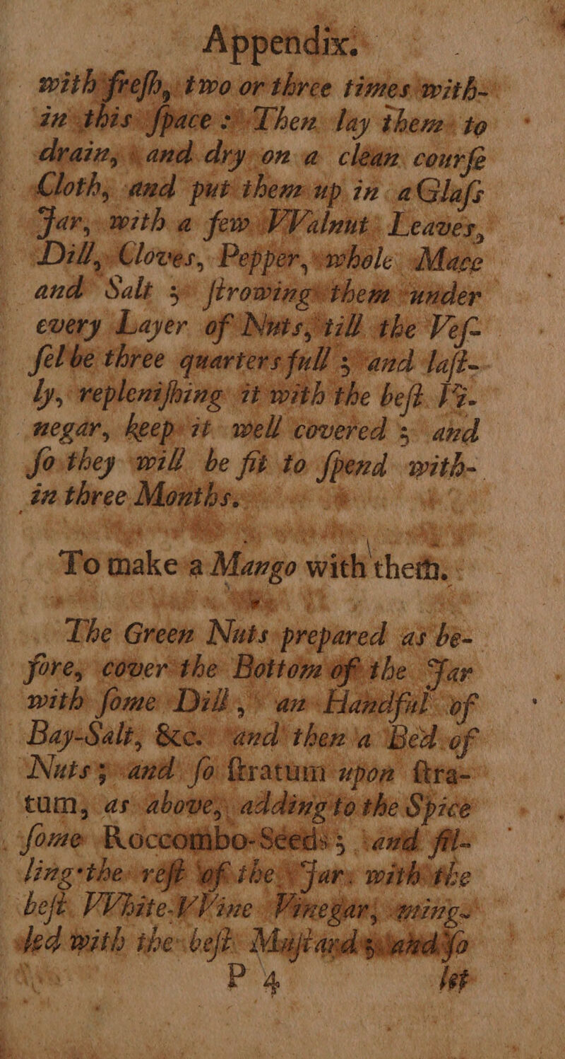 of ppetidix.: fre By two or three times with~ his: paces Then. lay then» to drain, ihe dry: ona clean courfe loth; and put then up in a@lafs — Jary.with a few VValnnt: Leaves, — Dill, gtlovts, Pepper,wmhole Mace and Salty » frowingsithem under” every has, of Nuts, ti the Vef- felbe three quarters full 5 and aft. ly, replenifhing it with the bef. 3. megar, keep it well covered’; and Jorthey will be fe to ee mite int itso ie oe a ihe Ls bl ae co » De, a ret a - make a Mango with thet ' Hibs Gree Pea pvp as — fore, cover the Bottom Ofrithe Jar with fome Dill, an Hand fil of | Bay-Salt, Bow. sancls thera ‘Bed of ‘Nats;«and fo fxratum upon tra” tam, as compbweai the Spice l fome Roc On _ D o- lin ct ear rie