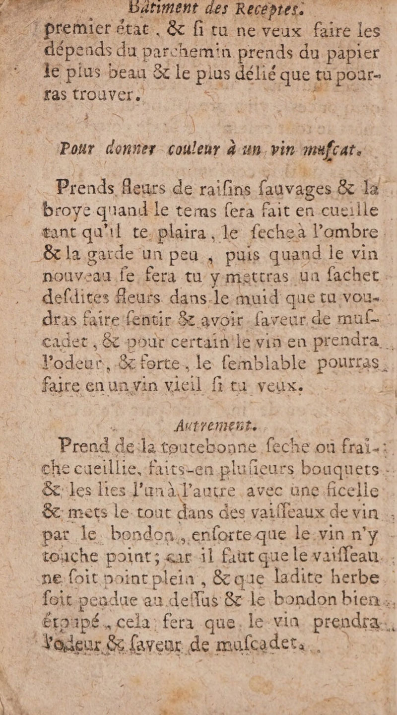 | Patiment des Recéptes. Je plus beau &amp; le ne délié ques tu poar- ras trouver. fi © Pour donner couleur | 4 un. pin mar. Prends fleurs “fi raifins fauvages &amp; Ps broyè quand. le temas fera fait en.cusille nonveda, fe fera tu y msttras_ ua fachet - defdites fieuts dans.le muid que tÜ-VOU. dras faire fenvir &amp; avoir faveur de mul cadet , &amp; pour certainile vin en. prendra. l'odeur, &amp; forte. le femblable pourras. faire en un yin vieil fi ta veux: Autremente Pond de; la toutebonne feche on frai.: che cueillie,-faits-en pluñeurs bouquets: Srles lies l'un à l’autre avec une. ficelle Cc: mets le tout Da des vaiffeaux de vin par le. bondon., enforteque le.vin n'y . touche point; «ar il faut que le varffeau. ne:foit point plein, &amp; que ladite herbe. foit. peudue au. deflus ee le bondon bien. éroupé , cela: fera que, le-via. prendra, à af