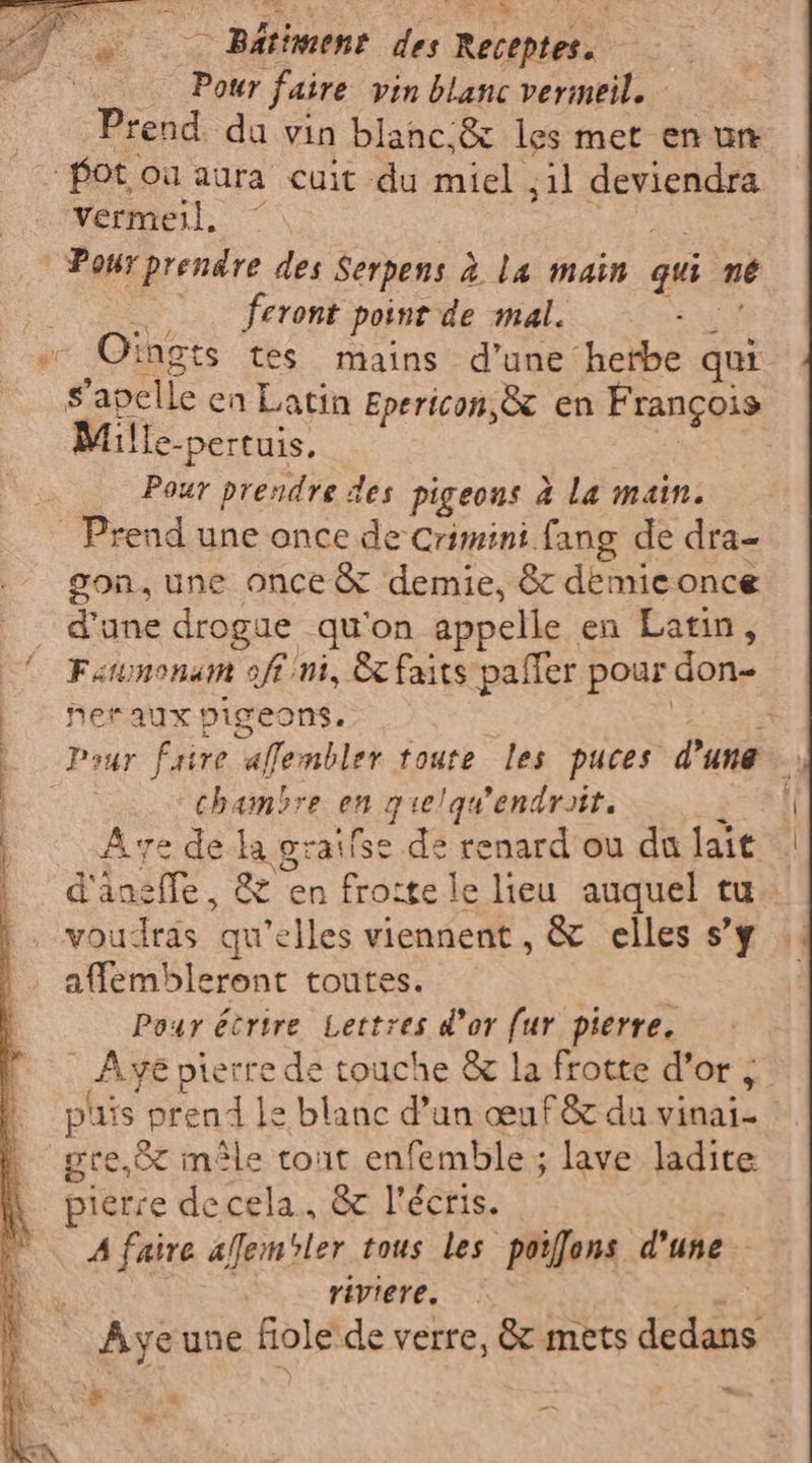 Se ie TS Pour faire vin blanc eur | Prend. du vin blanc,&amp; les met en un Bot où aura cuit du miel ,1l deviendra Vermell. © Pour prendre des Serpens à la main qui né feront point de mal. g'apelle en Latin Epericon,&amp; en Frangois Mille-pertuis. Pour prendre des pigeons à la main. | Prend une once de Crimini fang de dra- gon, une once&amp; demie, &amp; demieonce d'une drogue qu'on appelle en Latin, Fatunonamt off ni, E faits paller pour don» heraux pigeons. chambre en que/quendroît. À ye de la graifse e tenard ou du lt voullras qu'elles viennent , &amp; elles s’y affembleront toutes. Pour écrire Lettres d’or fur pierre. Are pierre de touche &amp; la frotte d’or ; n. His prend le blanc d’un œuf&amp; du vinai- e.&amp; mêle tout enfemble ; lave ladite Mél decela, &amp; l’écris. A faire afembler tous les poiffons d'une riviere. Aye une fiole de verre, &amp; mets dedans = | La i «: