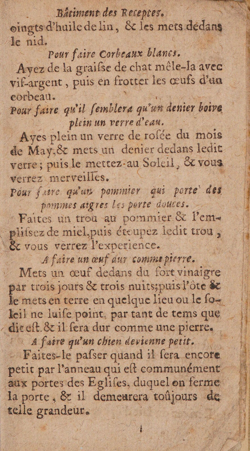 A. Bâtiment des Recepres.. Ca eingts d'huile de lin, &amp; les mets M di ‘de nid, pui <= Pour Le Girtazpi ane ot Ayez de la graifse de chat mêle-la avec vif-argent , puis én frotter les œufs d'un eorbeau. . Pour faire qu'il femblera qui un denier boive À plein un verre d'eau. — | Ayes plein un verre de rofée du mois | ss May,&amp; mets uri denier dedans ledit verre; puis le mettez-au Soleil, &amp; vous verrez merveilles. Pour fatre quat pominier gui porte del poinmes aigres les porte douces. - ul ‘ Faites un trou au pommier &amp; Pema >.) < plitse zde miel.puis étoupez ledit trou, .| \&amp; vous verrez l'experience. ne Ù —_ __ faire un anf aur commepierte. — CoA ‘ Mets un œuf dedans du foit vinaigre | par trois jours &amp; trois nuits; puis poni | te mets en terre en quelque Î lieu ou le fo=. DI -Jeil ne luife peint, par tant de tems que . | c Les eft.&amp; il fera dur comme une. pietrca - Ad A faire qu'un chien devienne petit. | AV SIAE pafser quand il fera encore petit par l’anneau qui eft communément aux portes des Eglifes, duquel « on ferme | da porte, &amp; il demeurcra tobjours de de sa