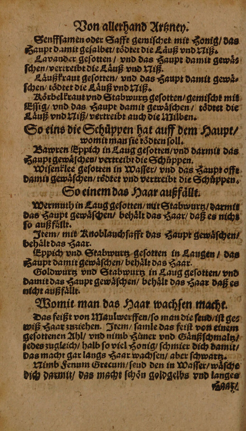 Von allerhand Artzney. — 5 oder Safft gemiſchet mit Zonig / das Daupt damit geſalbet / toͤdtet die Laͤuß vnd Niß· Aavander geſotten / vnd des Fa damit gewaͤs ſchen/ verrewhe die Kaͤuß vnd N Laͤußkraut geſotten / vnd Zaupt damit gewaͤ⸗ ſchen toͤdtet die Luß vnd niß Roͤrbelkraut vnd Stebwurggefi otten / gemiſcht mit Eſſig / vnd das Zaupt damit gewaͤſchen / toͤdtet die Caͤuß vnd VNiß / vertreibt auch die iben. So eins die Schüppen Bat auff dem Haupt / wo RA roͤdte m | h — Eppich in Laug —— darmi das Saupt gewaͤſchen / Bay —— eſotten in Waſſer / vnd OR en / tödtet vnd vertreibt die &amp; ppen. So einem das Haaraußfäle Wenn⸗ in Zaug geſotten / mit Stabwurtz / darmt | n eh Zaupt gewaͤſchen⸗ behaͤlt das ner] daß es nichs fit: tem’ mid ee das — behaͤlt das — — —* man. aa Fan We: man. Das feißt von Waulwerffen/fo man die ſeud / iſt ge⸗ wiß Zaar zuziehen. Irem / famledss feiſt von ein geſottenen Ahl / vnd nimb Zůner vnd —— jedes ʒugleich / halb ſo viel Zonig / ſchmier dich damut/ Das garlangs Zaar wachſen / aber ſchwartʒ Nimb Fenum Grecum / ſeud den in Waſſer / w J on ara das mare ſchoͤn gologelbs vnd — | er