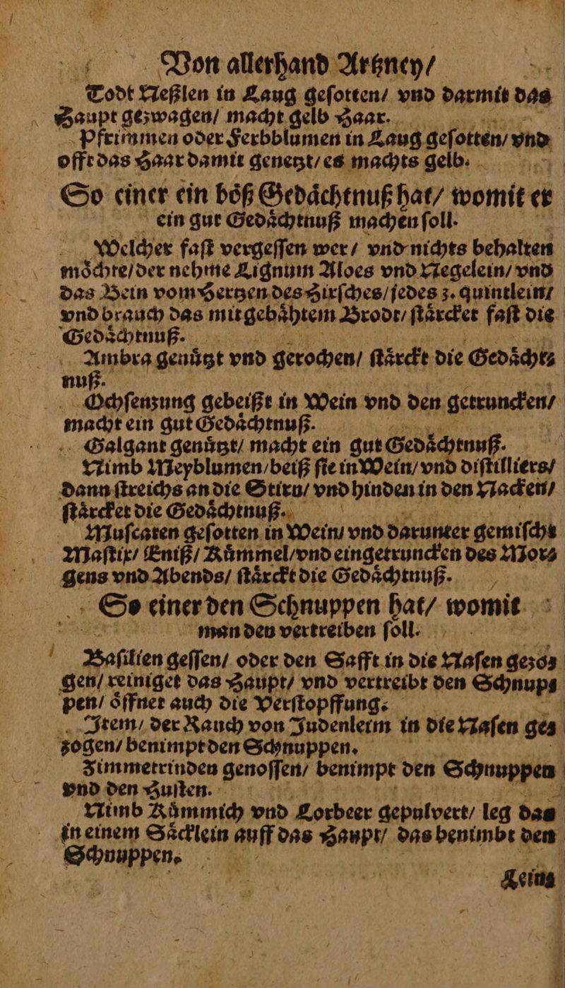 Todt VNeßlen in Laug — vnd darmit das aupt ge;wagen / macht gelb Haar. ; Pfeimmen oder Serbblumen in Laug geſe okten, und | offt das vᷣaar damit genetzt / es machts gelb: SP So einer ein böß Gedaͤchtnuß hat / womit er ein gut Gedaͤchtnuß machen foll. Welcher faſt vergeſſen wer / vnd nichts behalten moͤchte / der nehme Lignum Aloes vnd Negelein / vnd Das Bein vom hertzen des Hirſches / jedes quintlein/ vnd brauch das mis gebahtem Brodt / ſtaͤrcker faſt die Gedoͤchtnuß· — genügt vnd gerochen / gaarckt die 22073 mu Vchſenzung gebeiße in Wein vnd den gesunden, mad ein Hut Gedähtnuß. | . Balgant genuͤtzt / macht ein gut Bedke Jens. VNimb Meyblumen beiß ſie in Wein / on? — dann ſtreichs an die Stirn / vnd hinden in den Nacken / ſtaͤrcket die Gedaͤchtnuß. Mauſeaten gefonen in Wein vnd darunter gemiſcht Maſtie / Eniß / Kuͤmmel / vnd eingetruncken des Mor⸗ gens vnd Abends / ſtaͤrckt die Gedaͤchtuuß. So einer den Schnuppen hat / wowie man den vertreiben foll: Bafilien geſſen oder den Safft in die Yafen PEN gen / reiniget das Zaupt / vnd vertreibt den Schnup⸗ pen / Sffner auch die Verſtopffung. 9 Item / der Rauch von Sudenlerm in die Hafen ges | sogen’ benimptden Schnuppen. Zimmetrinden genoffen/ benimpt den Schnuppen vnd den Zuſten. Nimb Römmic vnd Lorbeer gepulvert / leg — in einem Saͤcklein auff das Baupi/ das benimbt den — Schn uppen. — eim