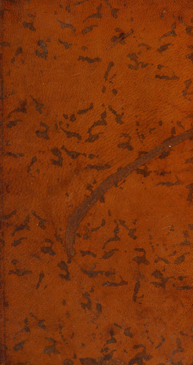 digitised image 1