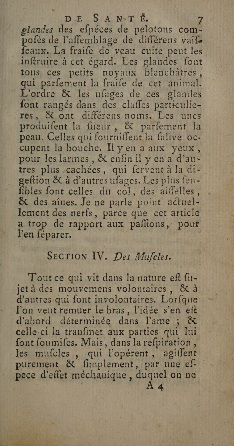 - DES A N-T É. 7 glandes des efpéces de pelotons com- polfés de l’affemblage de différens vaife feaux. La fraife de veau cuite peut les Anftruire à cet égard. Les glandes font tous, ces petits noyaux blanchätres, qui parfement la fraife de cet animal. L'ordre &amp; les ufages de ces glandes font rangés dans des claffes particulie- res, &amp; ont différens noms. Les unes produifent la fueur , &amp; parfement la peau. Celles qui fourniffent la falive oc- cupent la bouche. Il yen a aux yeux, pour les larmes , &amp; enfin il y en a d’au- tres plus ,cachées, qui fervent à la di- geftion &amp; à d’autres ufages. Les plus fen- fibles font celles du col, des aifielles, &amp; des aînes. Je ne parle point aétuel- lement des nerfs, parce que cet article a trop de rapport aux pañlions, pour l'en féparer. SECTION IV. Des Mufcles. Tout ce qui vit dans la nature eft fu- jet à des mouvemens volontaires , &amp; à d’autres qui font involontaires, Lorfque l'on veut remuer le bras, l’idée s’en eft d'abord déterminée dans l'ame ; &amp; celle-ci la tranfinet aux parties qui lui font foumifles. Mais, dans la refpiration, les mufcles , qui l’opérent, agiflent purement &amp; fimplement, par nue ef pece d'effet méchanique, A on n6 4