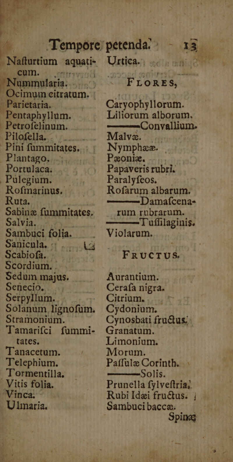 2^ «tM 2A M : , 4* «X Y y D 1 * TU- ^ fempore petenda. |. - i3 pum RdRALÉS Urtiea- «cio nyc Nommilai. ' FLORES, Ocimum citratum. r - Parietaria. Caryophyllorutn.  Pentaphyllum. Liliorum alborum. - Petrofelinum. —— Convallium. Pilofella. . Malve. .. Pini fümmitates. ; | Nymphzz. . Plantago. Paoniz. Portulaca. Papaveris rubri. , Pulegium. Paralyfeos. Rofmarinus.- Rofarum albarum. Ruta. —— —Damaícena- Sabinz fummitates. rum rubrarum. Salvia. Tuffilaginis. Sambuci folia. Violarum. Sanicnla. : . |. |j Scabiofa. FRUCTUS Scordium. . Sedum majus. Aurantium. Senecio. Cerafa nigra. Serpyllum. ^ Citrium. ...., Solanum lignofum. Cydonium. Stramonium. Ch nosbati frudus. Tamarifci fümmi- Granatum. tates. Limonium. Tanacetum. Morum. Telephium. Patffulze Corinth... . Tormentilla. Solis. Vitis folia. Prunella fylveflria;. Vinca. Rubi Idei fructus. j Ulmaria. Sambuci bacca. Spine