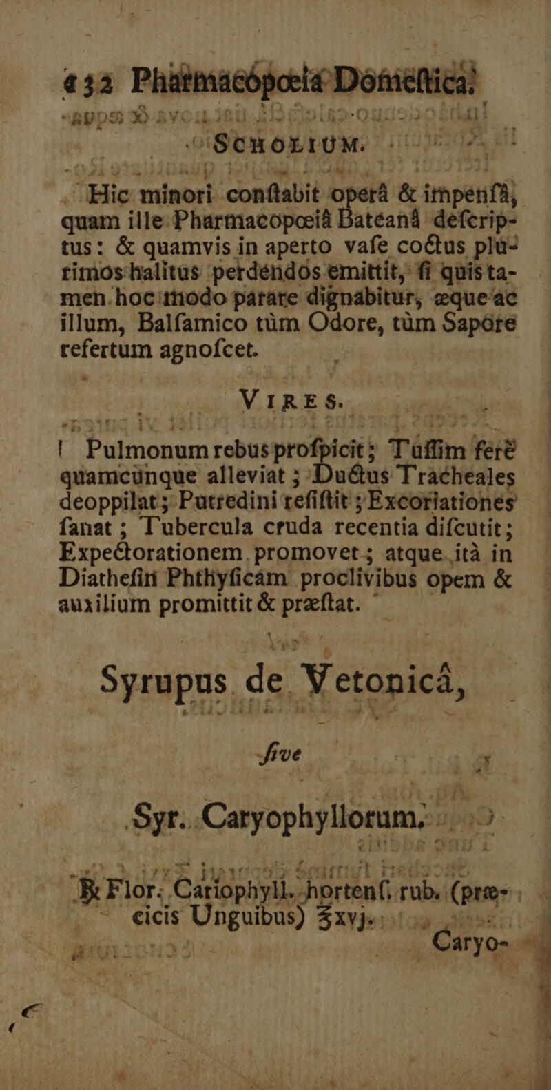 133 Piamscipeit Donstic M Scnoxiow. i J'üBlig minori conflabit oper &amp; impe nfi; quam ille: Pharmacopoeià Ba atéani deferip- tus: &amp; quamvis in aperto vafe coctus plu- rimos: halitus perdendos: emittit, fi quista- men. hoc ttiodo párare dignabitur, eque'ac illum, Balfamico tüm Odore, tüm GAPIRG Nin agnofcet. VIRES. b otii rebus pofione Tüfim fee hime alleviat ; Du&amp;us Tracheales deoppilat ; Putredini tefiftit ; Excoriationes fanat ; T'ubercula cruda recentia difcutit; Expectorationem. promovet. ; atque. ità in Diathefiri Phtliyicam proclivibus opem &amp; auxilium promittit &amp; EOM Syrapos. de. Y etapiel Je | :gq Syr. Caryophyllorum. 2D frio Cariophyli. acketi rüb.. (pre--- | lo ^ elei. CU niue $m . NU 2€. « AEUM ^ Csryo- 4 b 1 u— A ; , E » s P ns i Wo w^