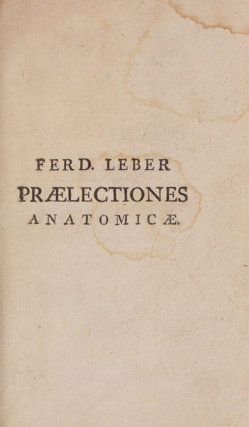 FERD LEBER ——— PRZELECTIONES ^E | ANATOMICL.E