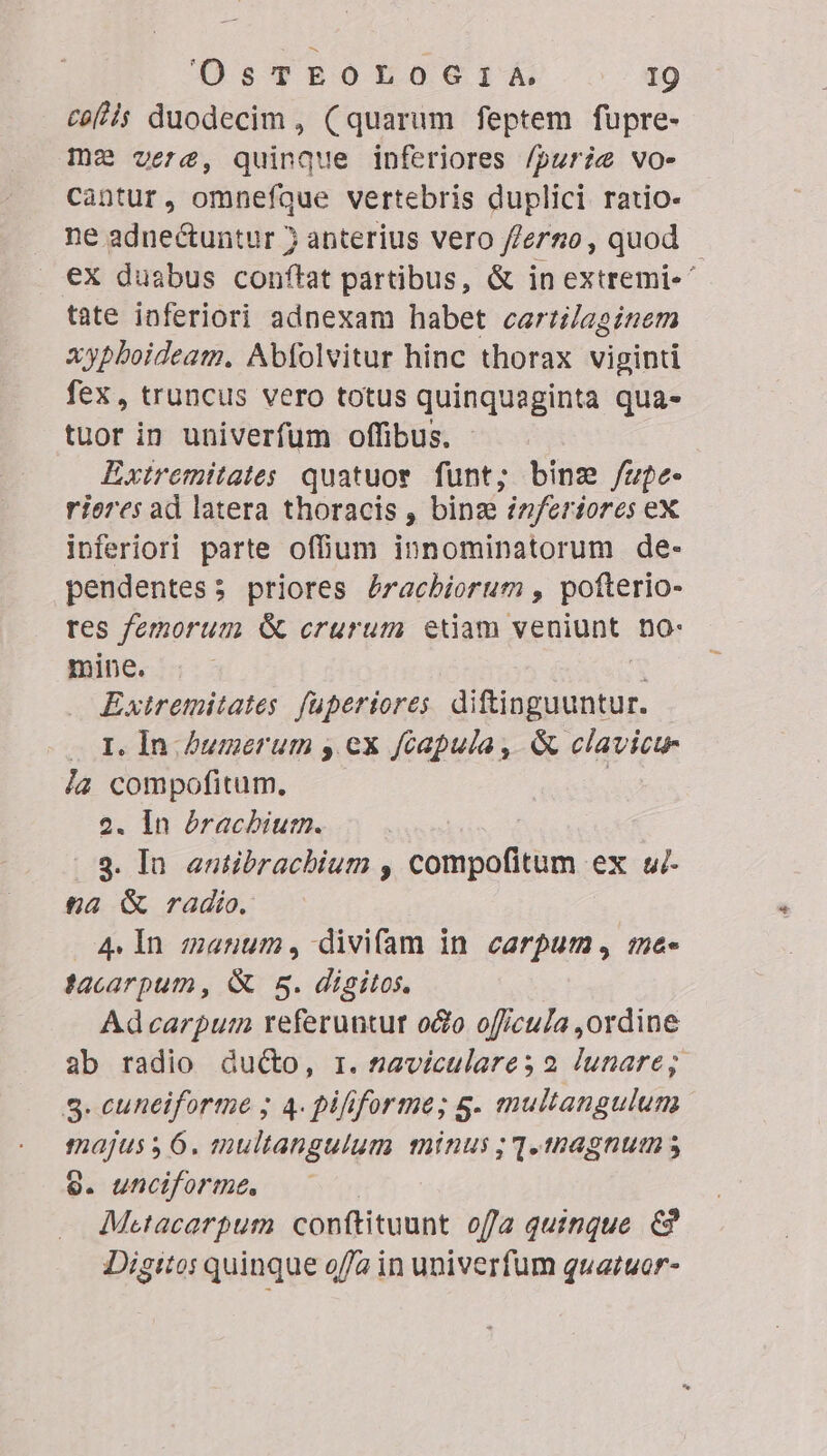 Jsypobhoerir4 -—-.d9 CoA; duodecim , (quarum feptem fupre- ma vere, quinque inferiores /purie vo- cantur, omnefque vertebris duplici ratio- ne aduectuntur 5 anterius vero f/ergso, quod - eX duabus conftat partibus, &amp; in extremi- tate inferiori adnexam habet cariz/aginem xypboideam. Abfolvitur hinc thorax viginti fex, truncus vero totus quinquaginta qua» tuor in univerfum offibus. Extremitates quatuor funt; bine /upe- riores ad latera thoracis , binz inferiores eX inferiori parte offium Yostubdpalofuds de- pendentes; priores éracbiorum , pofterio- res femorum &amp; erurum etiam veniunt no- mine. Exiremitates fuperiores (oA eh I. In Zumerum y. ex fcapula, &amp; clavicu- la compofitum, | 2. In éracbiurm. 9. In. antibrachium , compofitum ex «- £a G&amp; radio. 4. In zaenum, divifam in carpum, mae« tacarpum, &amp; 5. digitos. Ad carpum referuntur oo ofcula ,ordine ab radio duo, r. naviculares 2 Junare; S. cuneiforme ; 4. pififorme; g. multangulum i oA multangulum minus ;1.tnagnum s 9. uncifortme. Metacarpum conftituunt ofla quinque &amp;? Digtto quinque offa in univerfum quatuor-