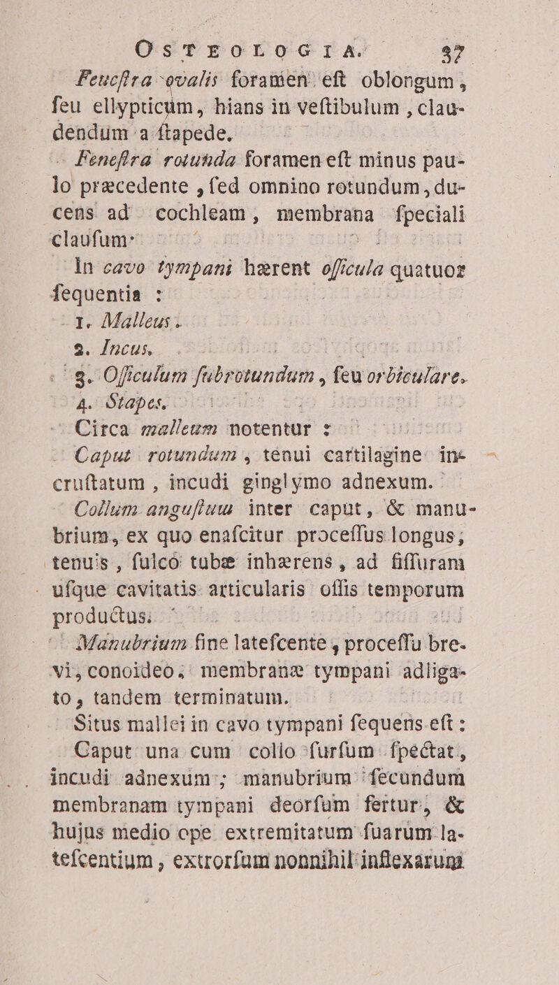 Feucfhra ovalis foramen eft oblongum, feu ellypticum, hians in veftibulum , clau- dendum a ftapede. - Feneffra roiuiida foramen eft minus pau- lo praecedente , fed omnino rotundum , du- ceüs ad | cochleam, pesthndd fpeciali claufum: | in cavo tympani haerent sci ula quatuoz fequenti : - 3- Malleus . 2. Incus. | | 493 | 8. Offculum fubr atundam , feu or Beulare, A4. Otapes | Circa mallem notentur : Caput rotundum , ténul cartilagine: ine cruftarum , incudi gingl ymo ndisse d Collum angufiuw inter caput, &amp; manu- brium, ex quo enafcitur proceffus longus; . .tenuiss , fulcó tub: inhaerens, ad fiffuram . ufque cavitatis articularis offis temporum productus, | Manubrium fine latefcente , proceffu bre- vi,conoideo. membrane tympani adliga- to, tandem terminatum. Situs mallei in cavo tympani fequens eft : Caput una cum colio furfum .fpectat , incudi adnexum' ; manubrium fecundum membranam tympani deorfum fertur, &amp; hujus medio ope extremitatum fuarum la- tefcentium , extrorfam nonnihil inflexarumi