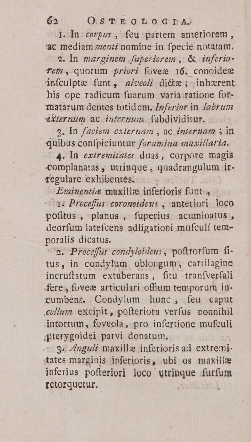 ^d. In corpus , feu partem. anteriorem , ac mediam zen nomine in fpecie notatam. 2. In marginem .fuperiorem ,' & inferio- Tem. quorum priori fovege 16. conoidez infculpte funt, a/Jveoli di&w; inhzrent his ope radicum fuarum. varia ratione for- TaDatarum dentes totidem. J»ferior in. /abrum externum ac internum fabdividitur. -. 9. In faciem externam , ac. internam yn — quibus confpiciuntur foramina maxillaria. |. In extremitates duas, corpore magis -complanatas , utrinque , sii S as ir- Urs exhibentes. - Eminentia waxillee iriferioris fant; 5 UB Proceffus coronoideut , anteriori. loco podia », planus , fuperius acuminatus , deorfum latefcens adligationi mufculi tem- poralis dicatus. 2, Procefus condyloideus, poftrorfum fi- tus, in condylum oblopgum; cartilagine incruftatum extuüberans, fitu tranfverfali fere, fovez articulari offium temporum inu- cumbens. Condylum hunc, feu caput collum excipit, pofteriora verfus nonnihil jintortum, foveola, pro infertione mufculi ;pterygoidei parvi donatum. | S« Znguli maxillae inferioris ad extremi- tates marginis inferioris, .'ubi os maxillz inferius pofleriori loco utrinque furfum rtetorquetur,