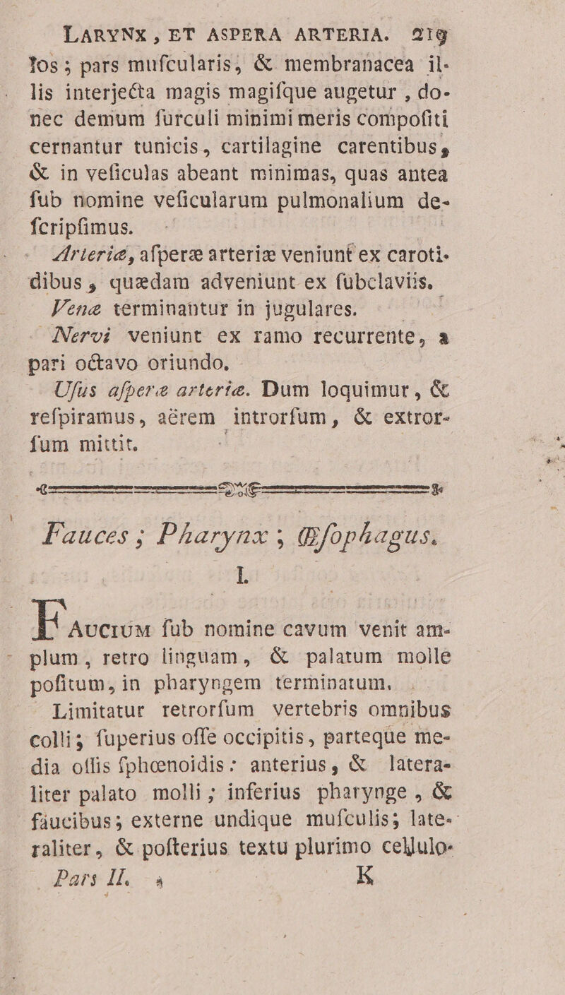 los; pars mufcularis, &amp; membranacea il. lis interje&amp;a magis magifque augetur , do- nec demum furculi minimi meris compofiti cernantur tunicis, cartilagine carentibus, &amp; in veficulas abeant minimas, quas antea fub nomine veficularum pulmonalium de- fcripfimus. ZIrieric, afpere arteriz veniunt ex caroti- dibus, quadam adveniunt ex fuübclaviis, Vene terminantur in jugulares. ; Nervi veniunt ex ramo recurrente, E] pari octavo oriundo. Ufus afpera arterte. Dum loquimur, &amp; refpiramus, aérem introrfüm, G&amp; extror- fum mittit. QU EOESREERAMNSUATEN M — Fauces ; Pharynx ; Gfophagus. vu binh | T acis fub nomine cavum venit am- plum, retro linguam, &amp; palatum molle pofitum, in pharyngem terminatum, Limitatur retrorfum vertebris omnibus colli? fuperius offe occipitis, parteque me- dia offis fpheenoidis: anterius, &amp; latera- liter palato. molli ; inferius pharynge , &amp; fàucibus; externe undique mufculis; late- raliter, &amp; pofterius textu plurimo cellulo- Pars Il. à K