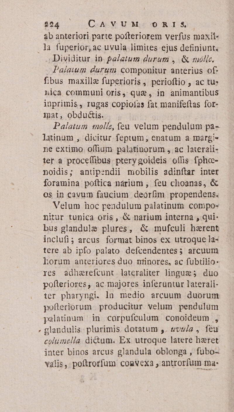 024. . | .CoALY HN Mj ORIS. ab anteriori parte pofteriorem verfus maxil- . la fuperior, ac uvula limites ejus definiunt. .. Dividitur. in- 2e/atum durum , &amp;&amp; molic. Palawm durum componitur anterius of- fibus maxille fuperioris, perioftio , ac tu» nica communi oris,; qua, in animantibus inprimis, rugas copioías fat manifeftas for- mat, obductis. - | Palatum solle, feu velum pendulum pa- Jatinam , dicitur feptum,; enatum a margi« - ne extimo . offium palatinorum , ac laterali- ter a proceffibus.: ptery goideis offis. fphoe- noidis; antipendii mobilis adinftar inter foramina poftica nàrium , feu choanas, &amp; OS in cavum faucium deoríim ptopendens. Velum hoc peadulum palatinum compo- nitur tunica oris , &amp; narium interna , qui- bus glandule plures, &amp; mufculi herent inclufi; arcus format binos ex utroque la- tere ab ipfo palato defcendentes3 arcuum Lorum anteriores duo ntinores, ac fubtilio: res adhzrefcunt. lateraliter lingues; duo pofteriores, ac majores inferuntur laterali- ter pharyngi. ln medio arcuum duorum pofteriorum . producitur velum pendulum palatinum in corpufculum conoideum , » glandulis: plurimis. dotatum ,. tvu/2 , feu coluinella. dictum. Ex utroque latere hzret inter binos arcus glandula oblonga , fubo- valis, poftrorfum comvexa , antrorfum ma-