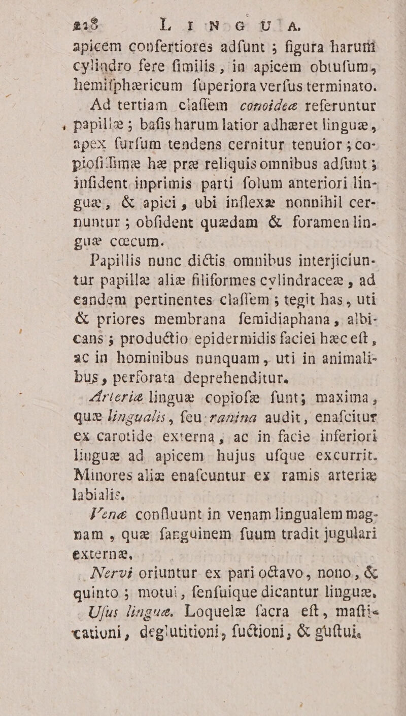 *- 238 L iuo £A apicem conpfertiores adfunt 5 figura harutii cyliadro fere fimilis , in apicem obtufum, hemifphzricum füperiora verfus terminato. Ad tertiam ciaflem cosoidee referuntur papili2 5 bafis harum latior adharet linguz, apex furfum tendens cernitur tenuior 5 co- piofiime hz pra reliquis omnibus adfunt 5 infident inprimis parti folum anteriori lin- gum, &amp; aspici, ubi inflexz nonnihil cer- nuntur; obfident quedam &amp; foramen lin- gus? cocum. Papillis nunc dictis omnibus interjiciun- tur papilla aliz filiformes cvlindracez , ad candem pertinentes claflem 5 tegit has , uti &amp; priores membrana femidiaphana, albi- cans ; productio epidermidis faciei hec eft , 2c in hominibus nunquam , uti in animali- bus , perforata deprehenditur. rieria lunguse copiofe funt; maxima, quz Iizsualis, feu: ranina audit, enafcitue ex carotide ex:erna, ac in facie inferiori lingue ad apicem hujus ufque excurrit. Minores aliz enafcuntur ex ramis arteria labialis. Fen confluunt in venam lingualem mag- nam , que farguinem fuum tradit jugulari externa, . ANervi oriuntur ex pari octavo, nono, &amp; quinto 5 motui , fenfuique dicantur linguz., Ujus lingue, Loquele facra eft, mafti« cadoni, deg'utidioni, fuctioni; &amp; gu(tui,