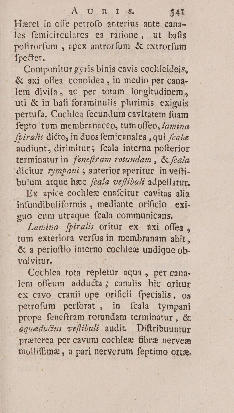 A U hy $41 Meret in offe petrofo anterius ante cana- les femicirculares ea ratione, ut bafis poftrorfum , apex antrorfum &amp; extrorfum fpectet. Componitur gyris binis cavis cochleideis, &amp; axi offea conoidea , in medio per cana- lem divifa, ac per totam longitudinem, uti &amp; in bafi foraminulis plurimis exiguis pertufa, Cochlea fecundum cavitatem fuam fepto tum membranaceo, tum offeo, Jamina fpiralis dicto, in duos femicanales ,qui /ca/ audiunt, dirimitur; fcala interna pofterior terminaturin feneflram rotundam , &amp; cala dicitur fympani s; anterior aperitur in vefíti- bulum atque hzc /ca/a veflibuli adpellatur, Ex apice cochlex enafcitur cavitas alia infundibuliformis , mediante orificio exi- guo cum utraque fcala communicans. Lamina [piralis oritur ex. axi offea , tum exteriora verfus in membranam abit, &amp; a perioftio interno forhies undique ob- J volvitur. Cochlea tota SAC) ur aqua, per cana- lem offeum adducta ; canalis hic oritur ex cavo cranii ope orificii fpecialis, os petrofum perforat , in [cala tympani prope feneftram rotundam terminatur , &amp; aquedudus veflibuli audit. Difribeate: 'praterea per cavum cochlee fibre nervez molliffims , a pari nervorum feptimo ortz.