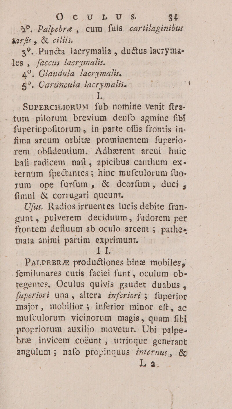 59. Palpebre , cum fuis cartilaginibus aarfis , &amp; ciliis. $?. Punc&amp;a lacrymalia , ductus ne les , faccus leerymalis. A9. Glandula lacrymalis. 5?. Carüncula lacrymalis.: I jul- SUPERCILIORUM fub nomine venit ftra-- . tum pilorum brevium denfo agmine fibi fuperippofitorum , in parte offis frontis in- fima arcum orbit prominentem füperio- rem obfidentium. Adhzrent arcui huic bafi radicem naíi, apicibus canthum ex- ternum fpe&amp;tantes ; hinc mufculorum fuo- yum ope furfum, &amp; deorfum, duci , fimul &amp; corrugari queunt. U/us. Radios irruentes lucis debite fran- gunt, pulverem deciduum, fudorem per frontem defluum ab oculo arcent 5 pathe« mata animi partim exprimunt. ^: ^ | I I. ParPEBRZE productiones bine mobiles, femilupares cutis faciei funt, oculum ob- tegentes, Oculus quivis gaudet duabus, fuperiori una , altera zmferiori 5; fuperior major, mobilior 3 inferior minor eft, ac mufculorum vicinorum magis, quam fibi propriorum auxilio movetur. Ubi palpe- bre invicem co&amp;unt, utrinque generant BEA nafo propinquus zeternus;, &amp; L a.