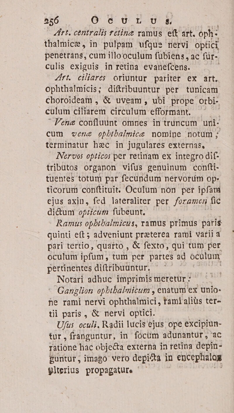 Zhrt. centralis rétine vamus et art, oph: thalmice, in pulpam ufque nervi optici penetrans, cum illooculum fuübiens, ac für- culis exiguis in retina evanefcens. Zfrt. ciliares oriuntur pariter ex art. ophthalmicis; diftribuuntur per tunicam choroideam , &amp; uveam, ubi prope .Orbi- culum vens dedtom efformant. ' Pena confluunt omnes in truncum. uni- cum «vene ophtbalmice momine notum; terminatur hec in jugulares externas, INervos opticos per retinam ex integro dif- tributos organon vifus genuinum confti- tuentes. totum par fecundum nervorum op: ticorum conftituit. Oculum non per ipfam ejus axin, fed lateraliter per foramen fic di&amp;um opzicum fubeunt. - Ramus opbtbaltnicus, ramus primus paris quinti eft; adveniunt praterea rami varii a pari tertio, quarto , &amp; fexto, qui tum per oculum ipfum tum per partes ad oculum pertinentes diftribuuntur. j Notari adhuc imprimis meretur : Gangliot ophibalmicum , enatum ex unio- he rami nervi ophthalmici, tami alius ter- tii paris , &amp; nervi optici. U/us oculi. Radii lucis ejus; ope excipiun- tur, franguntur, in focum adunantur , ac ratione hac obje&amp;a externa in retina depin- guritur, imago vero depicta in encephalog glterius propagature -