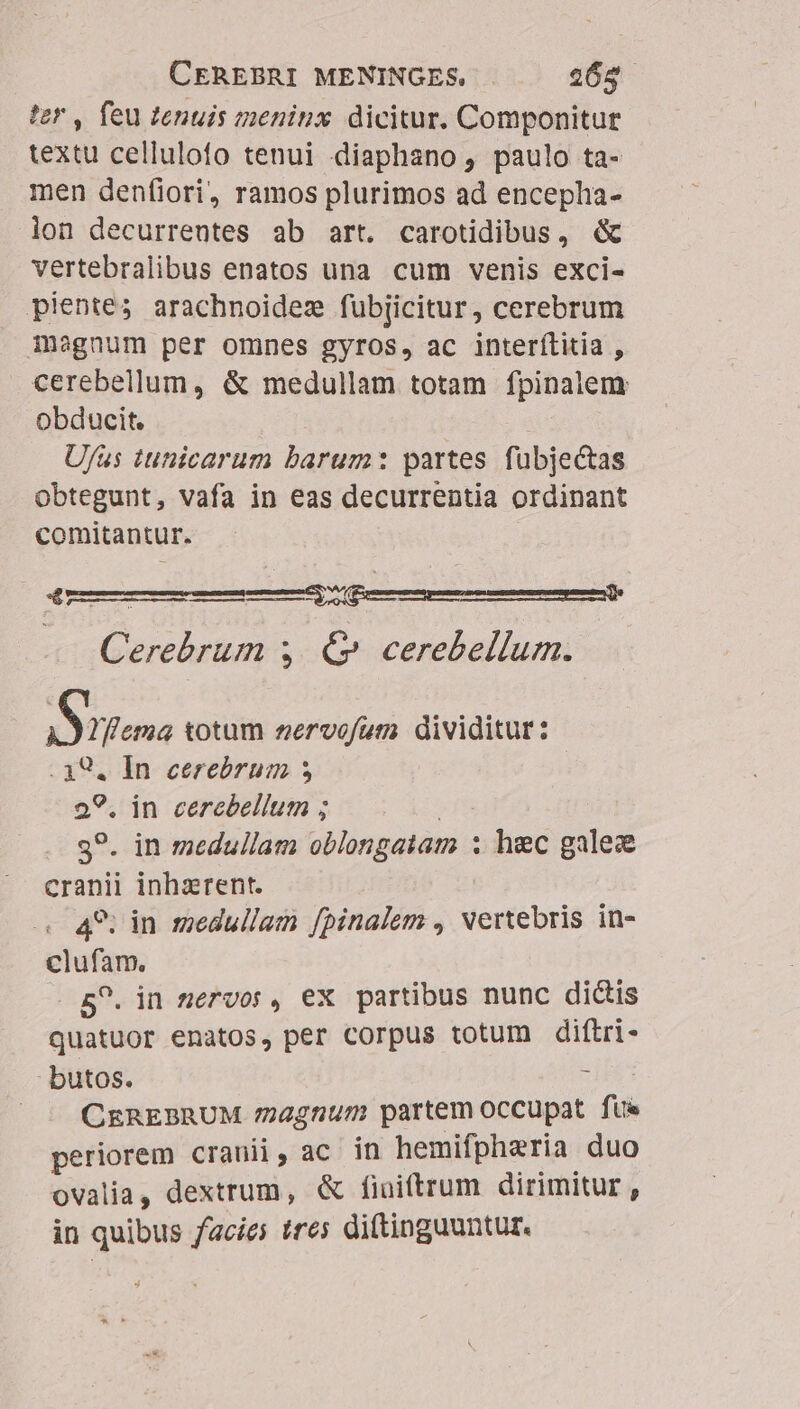 ter , feu tenuis meninx. dicitur. Componitue textu cellulofo tenui diaphano, paulo ta- men denfiori, ramos plurimos ad encepha- lon decurrentes ab art. carotidibus, d&amp; vertebralibus enatos una cum venis exci- pientes arachnoidez fubjicitur, cerebrum iagnum per omnes gyros, ac interílitia , cerebellum, &amp; medullam totam fpinalem obducit. U/us tuticarum barum: partes fubjectas obtegunt, vafa in eas decurrentia ordinant comitantur. E4 : : mp bed Cerebrum 3. €». cerebellum. Srt totum zervofum dividitur: .39. In cereórum 3$ 29. in cerebellum ; i. s?. in medullam oblongatam : hec galez cranii inhzrent. 49: in medullam fpinalem , vertebris in- clufam. . BP. in mervor, ex partibus nunc dictis quatuor enatos, per corpus totum diftri- - butos. : CEREBRUM /agnum partem occupat. fue periorem cranii, ac in hemifpheria duo ovalia, dextrum, &amp; finiftrum dirimitur , in quibus facie; tres diftinguuntur.