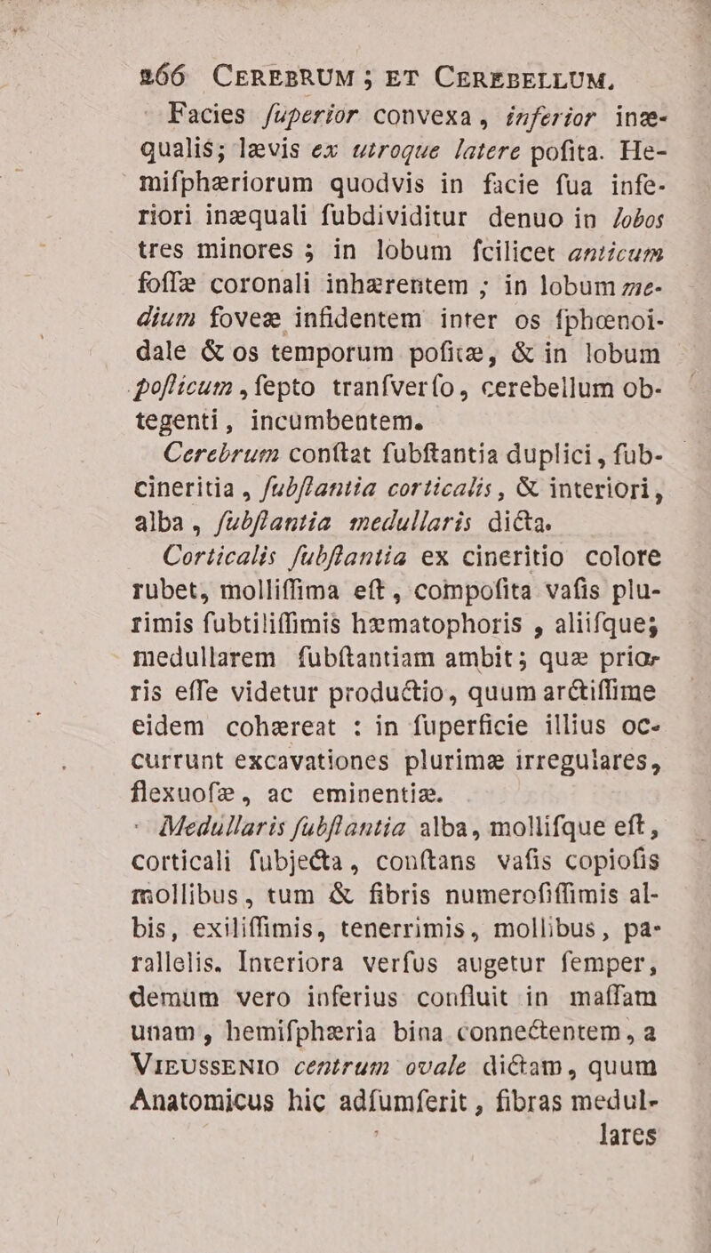 — Facies /uperior convexa, inferior inc- qualis; levis ex utroque latere pofita. He- mifphaeriorum quodvis in facie fua infe- riori inaquali fubdividitur denuo in /obos tres minores 5 in lobum fcilicet az:cum foffz coronali inhzrentem ; in lobum zze- dium foves infidentem inter os fphcnoi- dale &amp; os temporum pofie, &amp; in lobum goflicum ,fepto tranfverfo, cerebellum ob- tegenti, incumbentem. Cerebrum conttat fubftantia duplici , fub- cineritia , /ub//antia corticalis , &amp; interiori, alba, /ubflantia medullaris di&amp;a. Corticalis fubflantia ex cineritio colore rubet, molliffima eft, compofita vafis plu- rimis fubtiliffimis hematophoris , aliifque; medullarem fubítantiam ambit; quz priae ris effe videtur productio, quum arctiffime eidem cohzreat : in fuperficie illius oc- currunt excavationes plurima irreguiares, flexuofz, ac emipentia. Medullaris fubflantia alba, mollifque eft, corticali fubje&amp;ta, conítans vafis copiofis mollibus, tum &amp; fibris numerofiffimis al- bis, exiliffimis, tenerrimis, mollibus, pa: rallelis. Inveriora verfus augetur femper, demum vero inferius confluit in maífam unam, hemifphsria bina connectentem , a ViEUSSENIO centrum ovale dictam, quum Anatomicus hic adfumferit , fibras medul- lares