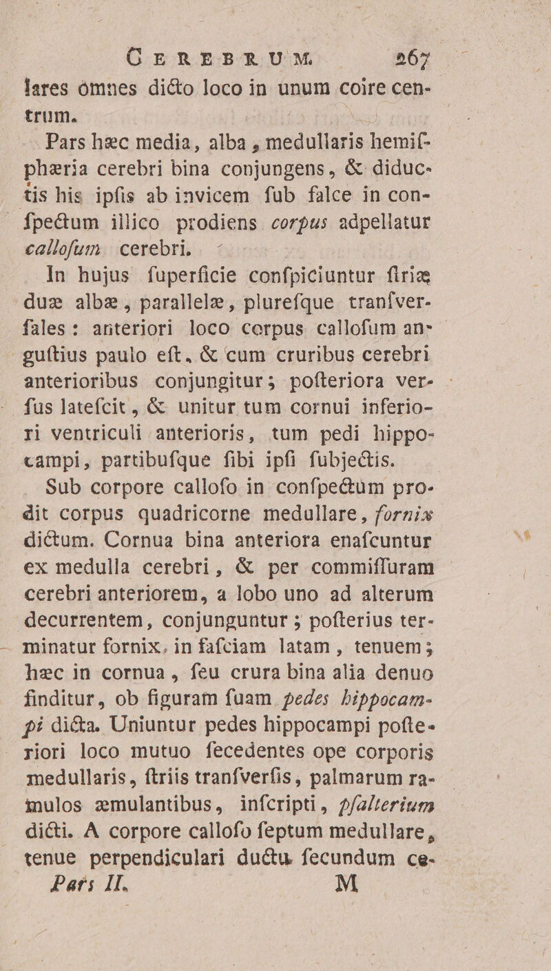 lares ómnes dicto loco in unum coire cen- trum. j Pars hec media, alba , medullaris hemif- pharia cerebri bina conjungens, &amp; diduc- tis his ipfis ab invicem fub falce in con- fpe&amp;dum illico prodiens corpus adpellatur eallofum. cerebri. In hujus fuperficie confpiciuntur firia due albe, parallele, plurefque. tranfver- fales : anteriori loco corpus callofum an- guítius paulo eft, &amp; cum cruribus cerebri anterioribus conjungitur; pofteriora ver- fus latefcit, &amp; unitur tum cornui inferio- ri ventriculi anterioris, tum pedi hippo- campi, partibufque fibi ipfi fubjectis. Sub corpore callofo in confpectum pro- dit corpus quadricorne medullare, forzisx dictum. Cornua bina anteriora enafcuntur ex medulla cerebri, &amp; per commiffuram cerebri anteriorem, a lobo uno ad alterum decurrentem, conjunguntur 5 pofterius ter- minatur fornix, in fafciam latam , tenuem; hec in cornua, feu crura bina alia denuo finditur, ob figuram fuam. pedes bippocarm- fi di&amp;a. Uniuntur pedes hippocampi pofte- . riori loco mutuo fecedentes ope corporis medullaris, ftriis tranfverfis, palmarum ra- inulos zmulantibus, infcripti, ?/a/terínm dicti. A corpore callofo feptum medullare, tenue perpendiculari ductu. fecundum ce- Pars 1I. M