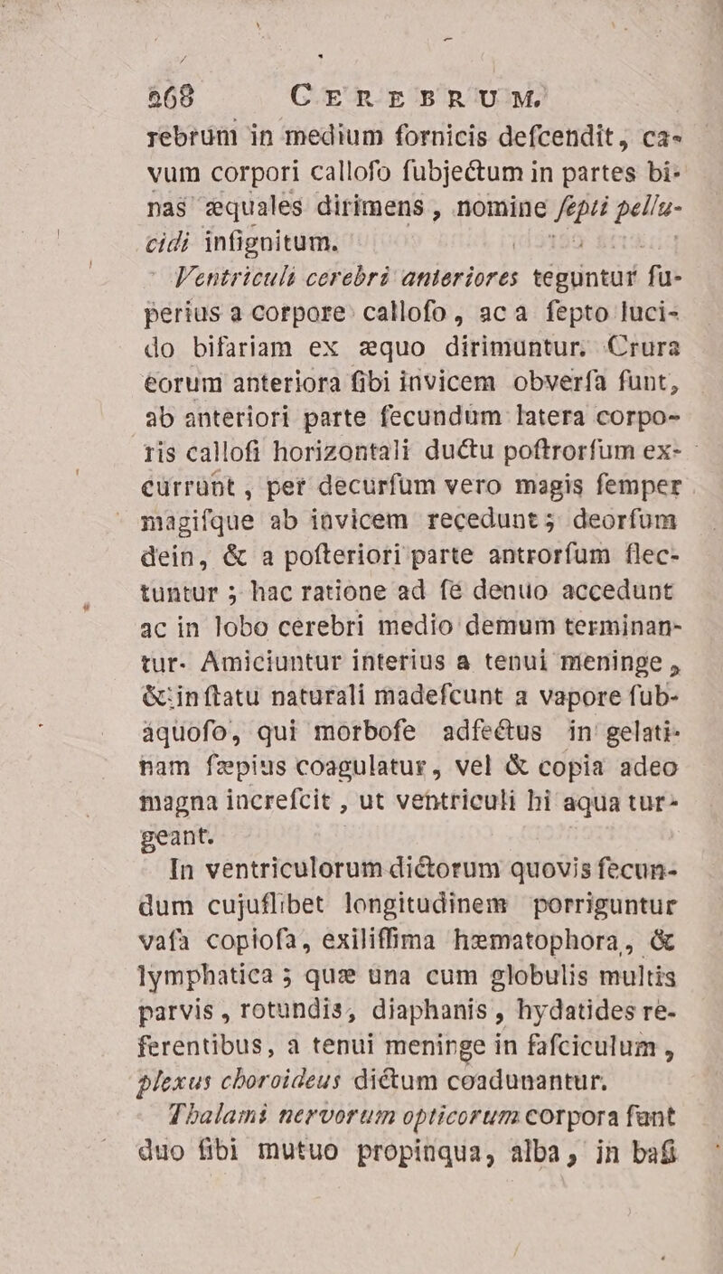 - 268 CEREEBSRUM, rebrum in medium fornicis defcendit, ca- vum corpori callofo fubjectum in partes bi: nas squales dirimens , nomine * pn en Em infignitum. » Fentriculi cerebri anteriores qoin fü- perius a corpore: callofo, aca fepto luci- do bifariam ex sequo dirimuntur, Crura eorum anteriora fibi invicem obverfa funt, ab anteriori parte fecundum latera corpo- ris callofi horizontali ductu poftrorfum ex- - Ccürrübt, per decurfum vero magis femper | magifque ab invicem recedunt; deorfum dein, &amp; a pofteriori parte antroríum flec- tuntur 5 hac ratione ad fé denuo accedunt 3c in lobo cerebri medio demum terminan- tur- Amiciuntur interius a tenui nieninge , &amp;:inítatu naturali madefcunt a vapore fub- àquofo, qui morbofe adfe&amp;us in gelati- nam fzpius coagulatur, vel &amp; copia adeo magna iacrefcit , ut ventriculi hi aqua tur- geant. In ventriculorum dictorum quovis fecun- dum cujuflibet longitudinem porriguntur vafa copiofa, exiliffna hzmatophora, &amp; lymphatica 5 ; que üna cum globulis multis parvis, rotundis, diaphanis , hydatides re- ferentibus, a tenui menirge in fafciculum , plexus cboroideus di&amp;um coadunantur. Thalami nervorum opticorum corpora fant duo fibi mutuo propinqua, alba, in bafi