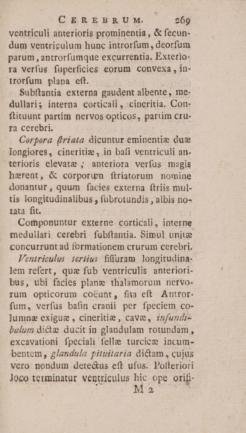 ventriculi anterioris prominentia , &amp; fecun- dum ventriculum hunc introrfum, deorfum parum , antrorfumque excurrentia, Extertio: ra verfus fuperficies eorum convexa , in- irorfum plana eft... - Subftantia externa gaudent albente, me- dullari3 interna corticali , :cineritia. Con- ftituunt partim nervos 9Bticos, partim cru. ra cerebri. Corpora (iriata dicuntur eminentize dus : longiores, cineritize , in bafi ventriculi an- terioris elevate ; anteriora verfus magis herent, &amp; corporum ftriatorum nomine donantur, quum facies externa ftriis mul- - tis longitudinalibus , Fupro undis, albis no- tata fit. Componuntuür externe. corticali, interne medullari. cerebri fubftantia. Simul unitz concurrunt ad formationem crurum cerebri. Fentriculus tertius fiffuram longitudina- : lem refert, quz fub ventriculis anteriori- bus, ubi facies planz thalamorum nervo- rum opticorum coeunt, fita eft. Antror- fum, verfus bafin cranii per fpeciem co- lumnz exigue, cineritie, cava, znfundi- bulum. didz ducit in glandulam rotundam , excavationi fpeciali felle turcicze incum- bentem, g/andula pituitaria diam , cujus vero nondum dete&amp;us eft ufus. Pofteriori Joco teuminatur ventriculus M ope orifi- 2,