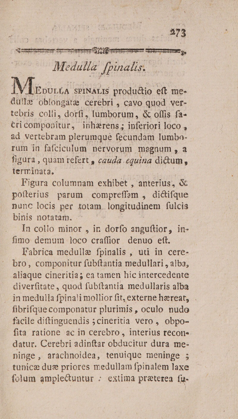 Mg SPINALIS produ&amp;tio eft me- dullz 'oblongatz cerebri , cavo quod ver- tebris colli, dorfi, lumborum, &amp; offis fa- €ricompooitur, inhzrens; inferiori loco , ad vertebram plerumque fecundam lumbo- rum in fafciculum nervorum megnum E figura , quam refert , cauda. equina dicum, terminata. | Figura columnam exhibet , anterius, &amp; pofterius parum compreffam , dictifque nunc locis per totam. Di; aor Un fulcis binis notatam. In collo minor , in dorfo anguftior, in- fimo demum loco craffior denuo eft. Fabrica medulle fpinalis , uti in cere- bro, componitur fubftantia medullari , alba, aliaque cineritia; ea tamen hic intercedente diverfitate, quod fubftantia medullaris alba in medulla fpina!i mollior fit, externe hereat, . fibrifque componatur plurimis , oculo nudo facile diftinguendis 5cineritia vero , obpo- fita ratione ac in cerebro, interius recon datur. Cerebri adinftar obducitur dura me- ninge, arachnoidea, tenuique meninge ; tunicz duz priores medullam fpinalem laxe folum amplectuntur ; extima praterea. fu-